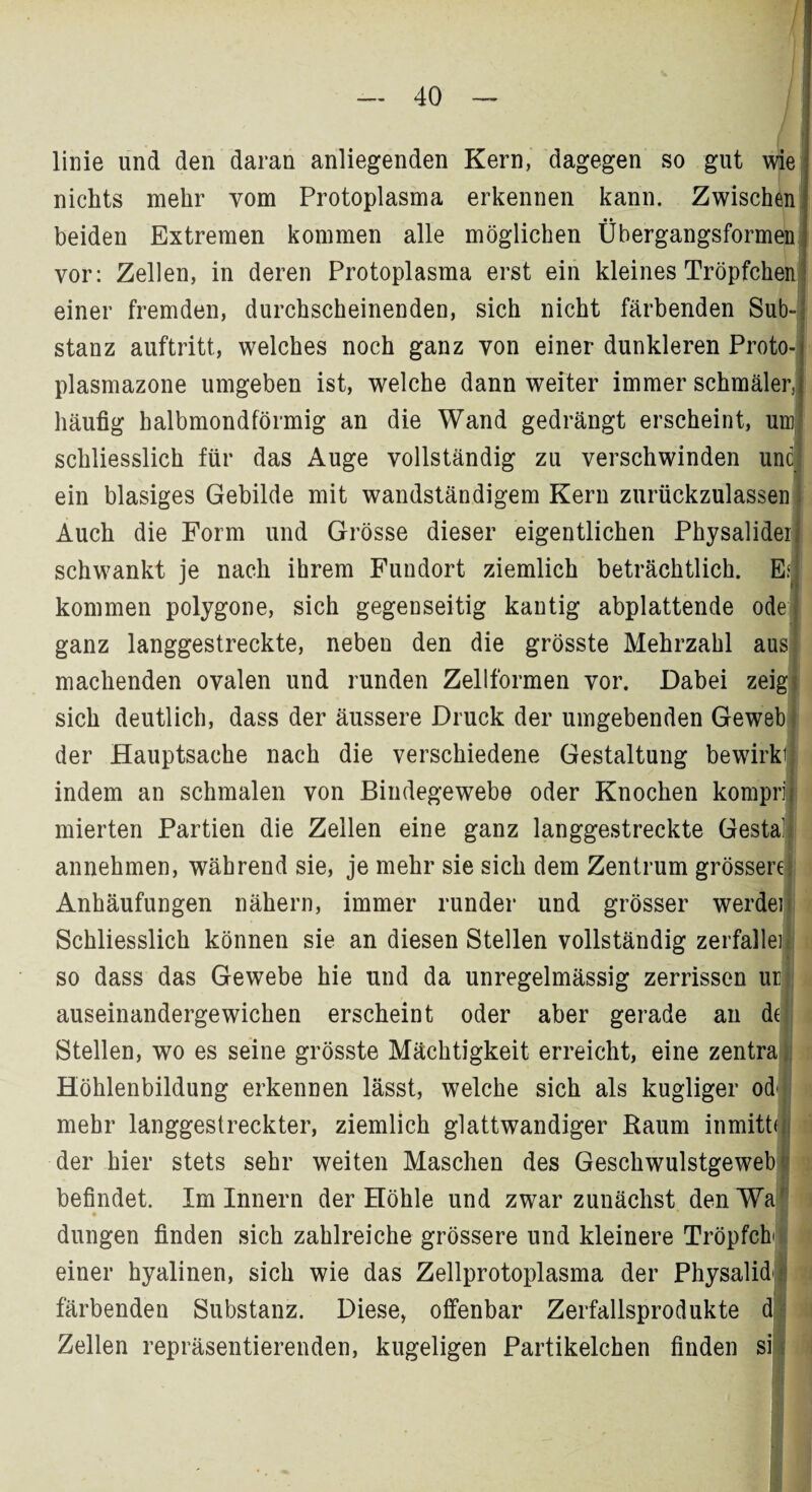 linie und den daran anliegenden Kern, dagegen so gut wie nichts mehr vom Protoplasma erkennen kann. Zwischen beiden Extremen kommen alle möglichen Übergangsformen vor: Zellen, in deren Protoplasma erst ein kleines Tröpfchen einer fremden, durchscheinenden, sich nicht färbenden Sub¬ stanz auftritt, welches noch ganz von einer dunkleren Proto-* plasmazone umgeben ist, welche dann weiter immer schmäler, häufig halbmondförmig an die Wand gedrängt erscheint, um schliesslich für das Auge vollständig zu verschwinden unc ein blasiges Gebilde mit wandständigem Kern zurückzulassen Auch die Form und Grösse dieser eigentlichen Physalidei schwankt je nach ihrem Fundort ziemlich beträchtlich. Es. kommen polygone, sich gegenseitig kantig abplattende ode ganz langgestreckte, neben den die grösste Mehrzahl aus machenden ovalen und runden Zellformen vor. Dabei zeig sich deutlich, dass der äussere Druck der umgebenden Geweb der Hauptsache nach die verschiedene Gestaltung bewirk indem an schmalen von Bindegewebe oder Knochen kompr: mierten Partien die Zellen eine ganz langgestreckte Gesta; annehmen, während sie, je mehr sie sich dem Zentrum grössere Anhäufungen nähern, immer runder und grösser werdei Schliesslich können sie an diesen Stellen vollständig zerfalle so dass das Gewebe hie und da unregelmässig zerrissen ur auseinandergewichen erscheint oder aber gerade an dtj Stellen, wo es seine grösste Mächtigkeit erreicht, eine zentra Höhlenbildung erkennen lässt, welche sich als kugliger od mehr langgestreckter, ziemlich glattwandiger Raum inmitt der hier stets sehr weiten Maschen des Geschwulstgeweb befindet. Im Innern der Höhle und zwar zunächst den Wa düngen finden sich zahlreiche grössere und kleinere Tröpfch einer hyalinen, sich wie das Zellprotoplasma der Physalid färbenden Substanz. Diese, offenbar Zerfallsprodukte d Zellen repräsentierenden, kugeligen Partikelchen finden si