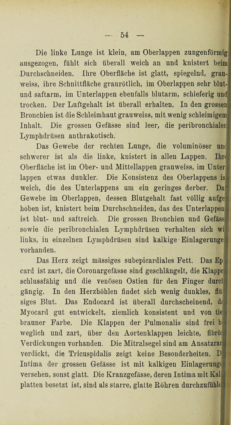 Die linke Lunge ist klein, am Oberlappen zungenförmig ausgezogen, fühlt sich überall weich an und knistert beim Durchschneiden. Ihre Oberfläche ist glatt, spiegelnd, grau- weiss, ihre Schnittfläche graurötlich, im Oberlappen sehr blut- und saftarm, im Unterlappen ebenfalls blutarm, schieferig und! trocken. Der Luftgehalt ist überall erhalten. In den grossen! Bronchien ist die Schleimhaut grauweiss, mit wenig schleimigem Inhalt. Die grossen Gefässe sind leer, die peribronchialenji Lymphdrüsen anthrakotisch. Das Gewebe der rechten Lunge, die voluminöser um schwerer ist als die linke, knistert in allen Lappen. Ihn Oberfläche ist im Ober- und Mittellappen grauweiss, im Unten lappen etwas dunkler. Die Konsistenz des Oberlappens is i weich, die des Unterlappens um ein geringes derber. Da1 Gewebe im Oberlappen, dessen Blutgehalt fast völlig aufgel hoben ist, knistert beim Durchschneiden, das des Unterlappen i ist blut- und saftreich. Die grossen Bronchien und Gefässl sowie die peribronchialen Lymphdrüsen verhalten sich wi! links, in einzelnen Lymphdrüsen sind kalkige Einlagerunge vorhanden. Das Herz zeigt massiges subepicardiales Fett. Das Ep card ist zart, die Coronargefässe sind geschlängelt, die Klappe schlussfähig und die venösen Ostien für den Finger durcll gängig. In den Herzhöhlen findet sich wenig dunkles, flü siges Blut. Das Endocard ist überall durchscheinend, di Myocard gut entwickelt, ziemlich konsistent und von tie brauner Farbe. Die Klappen der Pulmonalis sind frei b weglich und zart, über den Aortenklappen leichte, fibrö,1=• Verdickungen vorhanden. Die Mitralsegel sind am Ansatzrai l verdickt, die Tricuspidalis zeigt keine Besonderheiten. D| Intima der grossen Gefässe ist mit kalkigen Einlagerung* | versehen, sonst glatt. Die Kranzgefässe, deren Intima mit Kal platten besetzt ist, sind als starre, glatte Röhren durchzufühkl