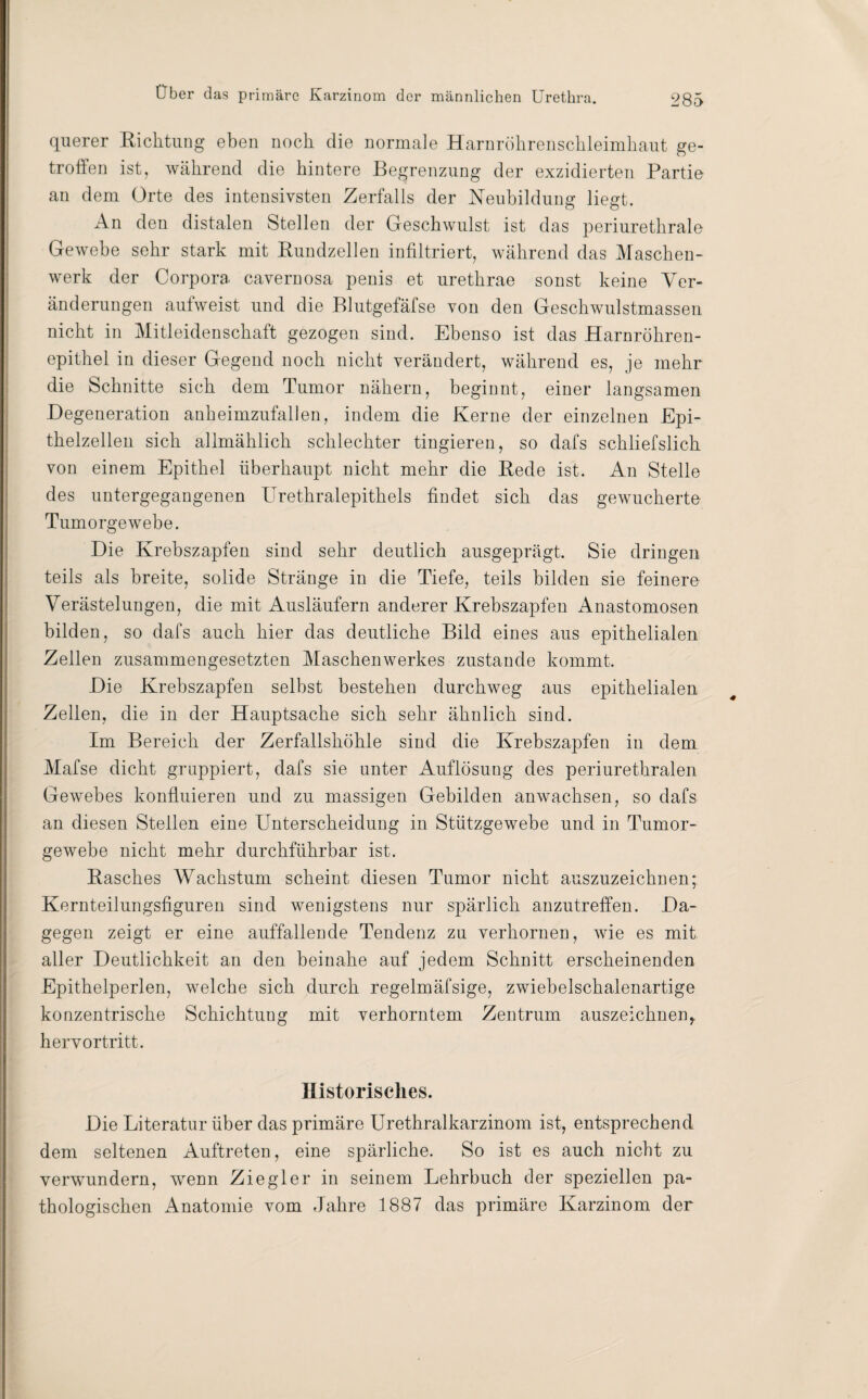 querer Richtung eben noch die normale Harnröhrenschleimhaut ge¬ troffen ist, während die hintere Begrenzung der exzidierten Partie an dem Orte des intensivsten Zerfalls der Neubildung liegt. An den distalen Stellen der Geschwulst ist das periurethrale Gewebe sehr stark mit Rundzellen infiltriert, während das Maschen¬ werk der Corpora cavernosa penis et urethrae sonst keine Ver¬ änderungen aufweist und die Blutgefäfse von den Geschwulstmassen nicht in Mitleidenschaft gezogen sind. Ebenso ist das Harnröhren¬ epithel in dieser Gegend noch nicht verändert, während es, je mehr die Schnitte sich dem Tumor nähern, beginnt, einer langsamen Degeneration anheimzufallen, indem die Kerne der einzelnen Epi¬ thelzellen sich allmählich schlechter tingieren, so dafs schliefslich von einem Epithel überhaupt nicht mehr die Rede ist. An Stelle des untergegangenen Urethralepithels findet sich das gewucherte Tumorgewebe. Die Krebszapfen sind sehr deutlich ausgeprägt. Sie dringen teils als breite, solide Stränge in die Tiefe, teils bilden sie feinere Verästelungen, die mit Ausläufern anderer Krebszapfen Anastomosen bilden, so dafs auch hier das deutliche Bild eines aus epithelialen Zellen zusammengesetzten Maschenwerkes zustande kommt. Die Krebszapfen selbst bestehen durchweg aus epithelialen Zellen, die in der Hauptsache sich sehr ähnlich sind. Im Bereich der Zerfallshöhle sind die Krebszapfen in dem Mafse dicht gruppiert, dafs sie unter Auflösung des periurethralen Gewebes konfluieren und zu massigen Gebilden anwachsen, so dafs an diesen Stellen eine Unterscheidung in Stützgewebe und in Tumor¬ gewebe nicht mehr durchführbar ist. Rasches Wachstum scheint diesen Tumor nicht auszuzeichnen; Kernteilungsfiguren sind wenigstens nur spärlich anzutreffen. Da¬ gegen zeigt er eine auffallende Tendenz zu verhornen, wie es mit aller Deutlichkeit an den beinahe auf jedem Schnitt erscheinenden Epithelperlen, welche sich durch regelmäfsige, zwiebelschalenartige konzentrische Schichtung mit verhorntem Zentrum auszeichnen f hervortritt. Historisches. Die Literatur über das primäre Urethralkarzinom ist, entsprechend dem seltenen Auftreten, eine spärliche. So ist es auch nicht zu verwundern, wenn Ziegler in seinem Lehrbuch der speziellen pa¬ thologischen Anatomie vom Jahre 1887 das primäre Karzinom der