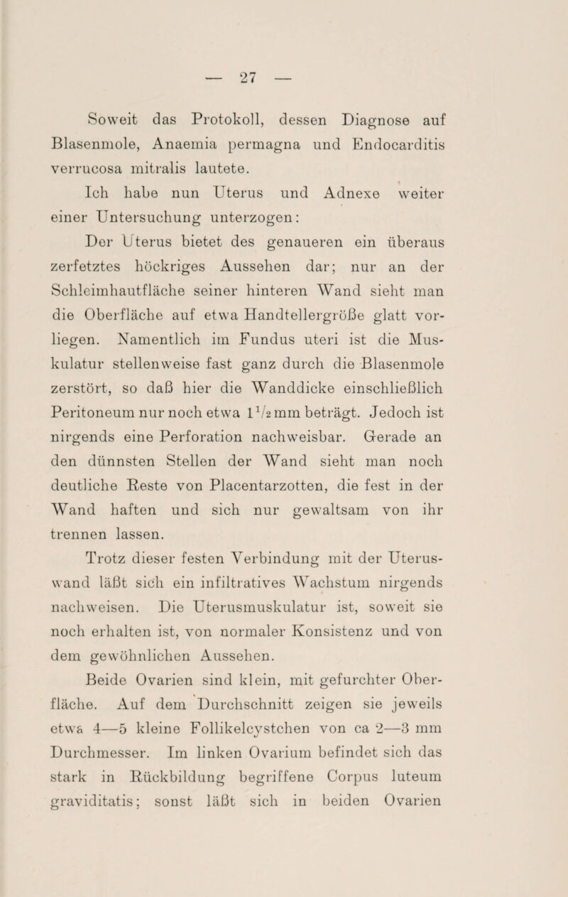 Soweit das Protokoll, dessen Diagnose auf Blasenmole, Anaemia permagna und Endocarditis verrucosa mitralis lautete. t Ich habe nun Uterus und Adnexe weiter einer Untersuchung unterzogen: Der Uterus bietet des genaueren ein überaus zerfetztes höckriges Aussehen dar; nur an der Schleimhautfläche seiner hinteren Wand sieht man die Oberfläche auf etwa Handtellergroße glatt vor¬ liegen. Namentlich im Fundus uteri ist die Mus¬ kulatur stellenweise fast ganz durch die Blasenmole zerstört, so daß hier die Wanddicke einschließlich Peritoneum nur noch etwa 1V2 mm beträgt. Jedoch ist nirgends eine Perforation nachweisbar. Gerade an den dünnsten Stellen der Wand sieht man noch deutliche Beste von Placentarzotten, die fest in der Wand haften und sich nur gewaltsam von ihr trennen lassen. Trotz dieser festen Verbindung mit der Uterus¬ wand läßt sich ein infiltratives Wachstum nirgends nachweisen. Die Uterusmuskulatur ist, soweit sie noch erhalten ist, von normaler Konsistenz und von dem gewöhnlichen Aussehen. Beide Ovarien sind klein, mit gefurchter Ober¬ fläche. Auf dem Durchschnitt zeigen sie jeweils etwa 4—5 kleine Follikelcvstchen von ca 2—3 mm Durchmesser. Im linken Ovarium befindet sich das stark in Bückbildung begriffene Corpus luteum graviditatis; sonst läßt sich in beiden Ovarien