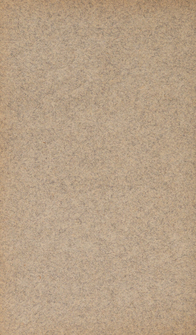 digitised image 2