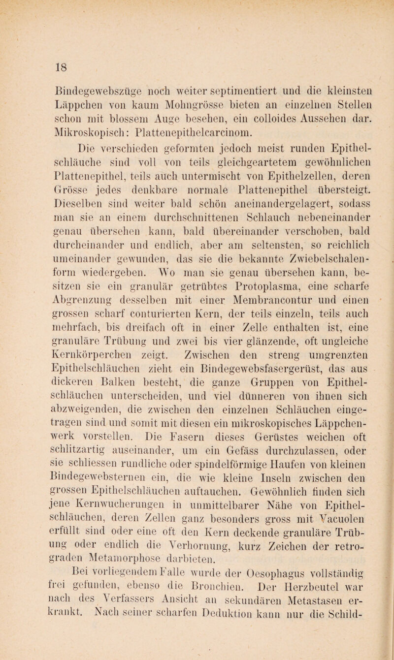 Bilidegewebszüge noch weiter septiineiitiert und die kleinsten Läppchen von kaum Molmgrösse bieten an einzelnen Stellen schon mit blossem Auge besehen, ein colloides Aussehen dar. Mikroskopisch: Plattenepitlielcarcinom. Die verschieden geformten jedoch meist runden Epithel¬ schläuche sind voll von teils gleichgeartetem gewöhnlichen riattenepithel, teils auch untermischt von Epithelzellen, deren Grösse jedes denkbare normale Plattenepithel übersteigt. Dieselben sind weiter bald schön aneinandergelagert, sodass man sie an einem durchschnittenen Schlauch nebeneinander genau übersehen kann, bald übereinander verschoben, bald durcheinander und endlich, aber am seltensten, so reichlich umeinander gewunden, das sie die bekannte Zwiebelschalen- forni wiedergeben. Wo man sie genau übersehen kann, be¬ sitzen sie ein granulär getrübtes Protoplasma, eine scharfe Abgrenzung desselben mit einer Membrancontur und einen grossen scharf conturierten Kern, der teils einzeln, teils auch mehrfach, bis dreifach oft in einer Zelle enthalten ist, eine granuläre Trübung und zwei bis vier glänzende, oft ungleiche Kernkörperchen zeigt. Zwischen den streng umgrenzten Epithelschläuchen zieht ein Bindegewebsfasergerüst, das aus dickeren Balken besteht, die ganze Gruppen von Epithel¬ schläuchen unterscheiden, und viel dünneren von ihnen sich abzweigenden, die zwischen den einzelnen Schläuchen einge¬ tragen sind und somit mit diesen ein mikroskopisches Läppchen¬ werk vorstellen. Die Fasern dieses Gerüstes weichen oft schlitzartig auseinander, um ein Gefäss durchzulassen, oder sie schliessen rundliche oder spindelförmige Haufen von kleinen Bindegewebsternen ein, die wie kleine Inseln zwischen den grossen Epithelschläuchen auftauchen. Gewöhnlich finden sich jene Kernwucherungen in unmittelbarer Nähe von Epithel¬ schläuchen, deren Zellen ganz besonders gross mit Yacuolen erfüllt sind oder eine oft den Kern deckende granuläre Trüb¬ ung oder endlich die Verhornung, kurz Zeichen der retro¬ graden Metamorphose darbieten. Bei vorliegendem Falle wurde der (äesophagus vollständig frei gefunden, ebenso die Bronchien. Der Herzbeutel war nach des Verfassers Ansicht an sekundären Metastasen er¬ krankt. Nach seiner scharfen Deduktion kann nur die Schild-