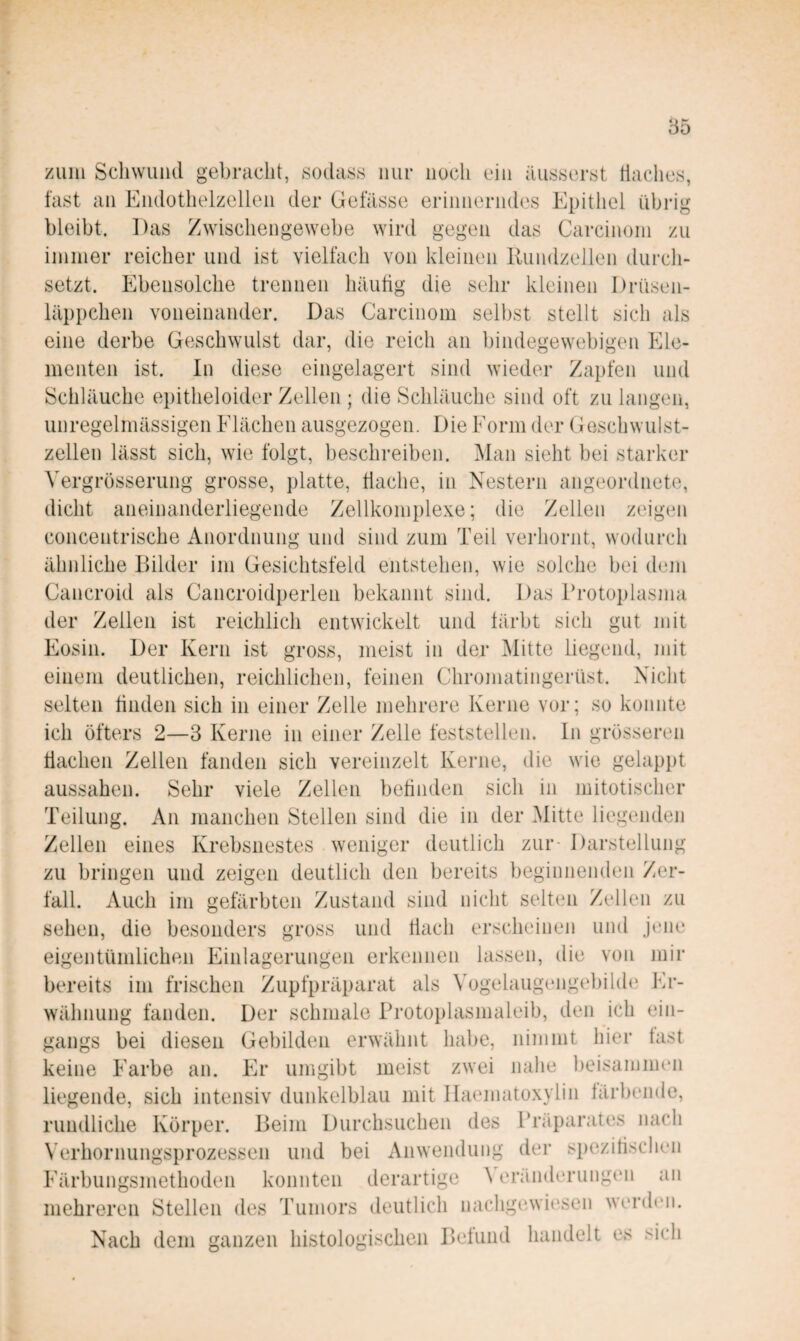 zum Schwund gebracht, sodass nur noch ein äusserst daches, fast an Endothelzellen der Gefässe erinnerndes Epithel übrig bleibt. Das Zwischengewebe wird gegen das Carcinoin zu immer reicher und ist vielfach von kleinen Rundzellen durch¬ setzt. Ebensolche trennen häufig die sehr kleinen Drüsen¬ läppchen voneinander. Das Carcinom selbst stellt sich als eine derbe Geschwulst dar, die reich an bindegewebigen Ele¬ menten ist. In diese eingelagert sind wieder Zapfen und Schläuche epitheloider Zellen ; die Schläuche sind oft zu langen, unregelmässigen Flächen ausgezogen. Die Form der Geschwulst¬ zellen lässt sich, wie folgt, beschreiben. Man sieht bei starker Vergrösserung grosse, platte, flache, in Nestern angeordiiete, dicht aneinanderliegende Zellkomplexe; die Zellen zeigen concentrische Anordnung und sind zum Teil verhornt, wodurch ähnliche Bilder im Gesichtsfeld entstehen, wie solche bei dem Cancroid als Cancroidperlen bekannt sind. Das Brotoplasma der Zeilen ist reichlich entwickelt und färbt sich gut mit Eosin. Der Kern ist gross, meist in der Mitte liegend, mit einem deutlichen, reichlichen, feinen Chromatingerüst. Nicht selten finden sich in einer Zelle mehrere Kerne vor; so konnte ich öfters 2—3 Kerne in einer Zelle feststellen. In grösseren flachen Zellen fänden sich vereinzelt Kerne, die wie gelappt aussahen. Sehr viele Zellen befinden sich in mitotischer Teilung. An manchen Stellen sind die in der Mitte liegenden Zellen eines Krebsnestes weniger deutlich zur- Darstellung zu bringen und zeigen deutlich den bereits beginnenden Zer¬ fall. Auch im gefärbten Zustand sind nicht selten Zellen zu sehen, die besonders gross und Hach erscheinen und jene eigentümlichen Einlagerungen erkennen lassen, die von mir bereits im frischen Zupfpräparat als Vogelaugengebihh' Er¬ wähnung fänden. Der schmale Protoi)lasmaleib, den ich ein¬ gangs bei diesen Gebilden erwähnt habe, nimmt hier fast keine Farbe an. Er umgibt meist zwei nahe l)eisammen liegende, sich intensiv dunkelblau mit llaematoxylin färbende, rundliche Körper. Beim Durchsuchen des Präparates nach Verhornungsprozessen und bei Anwendung der spezitischen Färbungsmethoden konnten derartige A eräiiderungen an mehreren Stellen des Tumors deutlich nachgewiesen wi'rdeii. Nach dem ganzen histologischen Befund handelt es sich