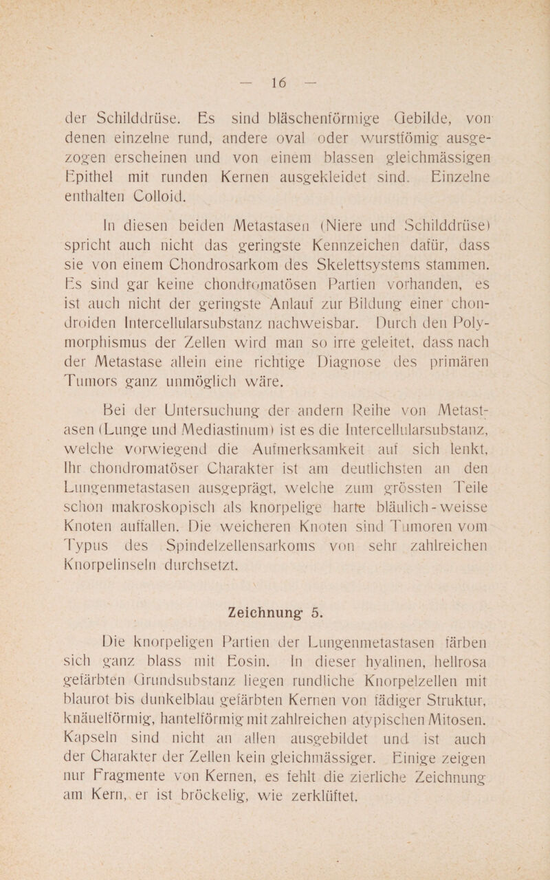 der Schilddrüse. Es sind bläschenförmige Gebilde, von denen einzelne rund, andere oval oder wurstfömig ausge¬ zogen erscheinen und von einem blassen gleichmässigen Epithel mit runden Kernen ausgekleidet sind. Einzelne enthalten Colloid. In diesen beiden Metastasen (Niere und Schilddrüse) spricht auch nicht das geringste Kennzeichen dafür, dass sie von einem Chondrosarkom des Skelettsystems stammen. Es sind gar keine chondromatösen Partien vorhanden, es ist auch nicht der geringste Anlauf zur Bildung einer chon- droiden Intercellularsubstanz nachweisbar. Durch den Poly¬ morphismus der Zellen wird man so irre geleitet, dass nach der Metastase allein eine richtige Diagnose des primären Tumors ganz unmöglich wäre. Bei der Untersuchung der andern Reihe von Metast¬ asen (Lunge und Mediastinum) ist es die Intercellularsubstanz, welche vorwiegend die Aufmerksamkeit auf sich lenkt, Ihr chondromatöser Charakter ist am deutlichsten an den Lungenmetastasen ausgeprägt, welche zum grössten Teile schon makroskopisch als knorpelige harte bläulich - weisse Knoten auffallen. Die weicheren Knoten sind Tumoren vom Typus des Spindelzellensarkoms von sehr zahlreichen Knorpelinseln durchsetzt. Zeichnung- 5. Die knorpeligen Partien der Lungenmetastasen färben sich ganz blass mit Eosin. ln dieser hyalinen, hellrosa gefärbten Grundsubstanz liegen rundliche Knorpelzellen mit blaurot bis dunkelblau gefärbten Kernen von fädiger Struktur, knäuelförmig, hantelförmig mit zahlreichen atypischen Mitosen. Kapseln sind nicht an allen ausgebildet und ist auch der Charakter der Zellen kein gleichmässiger. Einige zeigen nur Fragmente von Kernen, es fehlt die zierliche Zeichnung am Kern, er ist bröckelig, wie zerklüftet,