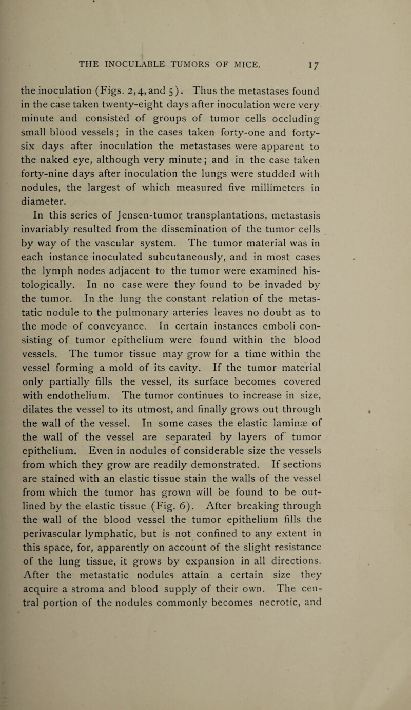 the inoculation (Figs. 2,4, and 5 ). Thus the metastases found in the case taken twenty-eight days after inoculation were very minute and consisted of groups of tumor cells occluding small blood vessels; in the cases taken forty-one and forty- six days after inoculation the metastases were apparent to the naked eye, although very minute; and in the case taken forty-nine days after inoculation the lungs were studded with nodules, the largest of which measured five millimeters in diameter. In this series of jensen-tumor transplantations, metastasis invariably resulted from the dissemination of the tumor cells by way of the vascular system. The tumor material was in each instance inoculated subcutaneously, and in most cases the lymph nodes adjacent to the tumor were examined his¬ tologically. In no case were they found to be invaded by the tumor. In the lung the constant relation of the metas¬ tatic nodule to the pulmonary arteries leaves no doubt as to the mode of conveyance. In certain instances emboli con¬ sisting of tumor epithelium were found within the blood vessels. The tumor tissue may grow for a time within the vessel forming a mold of its cavity. If the tumor material only partially fills the vessel, its surface becomes covered with endothelium. The tumor continues to increase in size, dilates the vessel to its utmost, and finally grows out through the wall of the vessel. In some cases the elastic laminae of the wall of the vessel are separated by layers of tumor epithelium. Even in nodules of considerable size the vessels from which they grow are readily demonstrated. If sections are stained with an elastic tissue stain the walls of the vessel from which the tumor has grown will be found to be out¬ lined by the elastic tissue (Fig. 6). After breaking through the wall of the blood vessel the tumor epithelium fills the perivascular lymphatic, but is not confined to any extent in this space, for, apparently on account of the slight resistance of the lung tissue, it grows by expansion in all directions. After the metastatic nodules attain a certain size they acquire a stroma and blood supply of their own. The cen¬ tral portion of the nodules commonly becomes necrotic, and