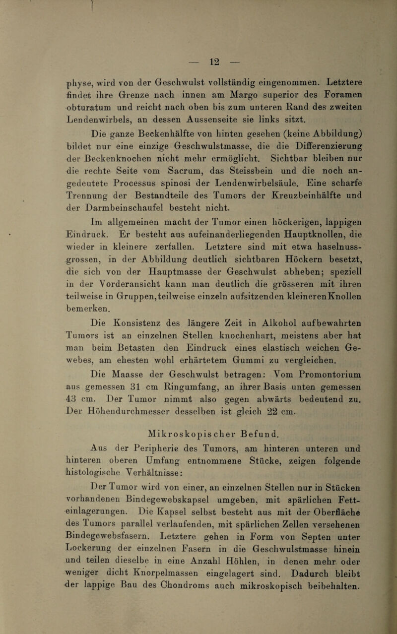 pliyse, wird von der Geschwulst vollständig eingenommen. Letztere findet ihre Grenze nach innen am Margo superior des Foramen obturatum und reicht nach oben bis zum unteren Rand des zweiten Lendenwirbels, an dessen Aussenseite sie links sitzt. Die ganze Beckenhälfte von hinten gesehen (keine Abbildung) bildet nur eine einzige Geschwulstmasse, die die Differenzierung der Beckenknochen nicht mehr ermöglicht. Sichtbar bleiben nur die rechte Seite vom Sacrum, das Steissbein und die noch an¬ gedeutete Processus spinosi der Lendenwirbelsäule. Eine scharfe Trennung der Bestandteile des Tumors der Kreuzbeinhälfte und der Darmbein schaufei besteht nicht. Im allgemeinen macht der Tumor einen höckerigen, lappigen Eindruck. Er besteht aus aufeinanderliegenden Hauptknollen, die wieder in kleinere zerfallen. Letztere sind mit etwa haselnuss¬ grossen, in der Abbildung deutlich sichtbaren Höckern besetzt, die sich von der Hauptmasse der Geschwulst abheben; speziell in der Vorderansicht kann man deutlich die grösseren mit ihren teilweise in Gruppen,teilweise einzeln aufsitzenden kleinerenKnollen bemerken. Die Konsistenz des längere Zeit in Alkohol aufbewahrten Tumors ist an einzelnen Stellen knochenhart, meistens aber hat man beim Betasten den Eindruck eines elastisch weichen Ge¬ webes, am ehesten wohl erhärtetem Gummi zu vergleichen. Die Maasse der Geschwulst betragen: Yom Promontorium aus gemessen 31 cm Ringumfang, an ihrer Basis unten gemessen 43 cm. Der Tumor nimmt also gegen abwärts bedeutend zu. Der Höhendurchmesser desselben ist gleich 22 cm. Mikroskopischer Befund. Aus der Peripherie des Tumors, am hinteren unteren und hinteren oberen Umfang entnommene Stöcke, zeigen folgende histologische Verhältnisse: Der T umor wird von einer, an einzelnen Stellen nur in Stücken vorhandenen Bindegewebskapsel umgeben, mit spärlichen Fett¬ einlagerungen. Die Kapsel selbst besteht aus mit der Oberfläche des lumors parallel verlaufenden, mit spärlichen Zellen versehenen Bindegewebsfasern. Letztere gehen in Form von Septen unter Lockerung der einzelnen Fasern in die Geschwulstmasse hinein und teilen dieselbe in eine Anzahl Höhlen, in denen mehr oder weniger dicht Knorpelmassen eingelagert sind. Dadurch bleibt der lappige Bau des Chondroms auch mikroskopisch beibehalten.