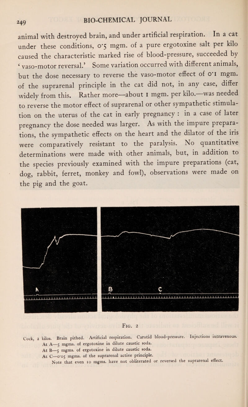 animal with destroyed brain, and under artificial respiration. In a cat under these conditions, 0*5 mgm. of a pure ergotoxine salt per kilo caused the characteristic marked rise of blood-pressure, succeeded by 4 vaso-motor reversal.5 Some variation occurred with different animals, but the dose necessary to reverse the vaso-motor effect of o*i mgm. of the suprarenal principle in the cat did not, in any case, differ widely from this. Rather more—about 1 mgm. per kilo, was needed to reverse the motor effect of suprarenal or other sympathetic stimula¬ tion on the uterus of the cat in early pregnancy : in a case of later pregnancy the dose needed was larger. As with the impure prepara¬ tions, the sympathetic effects on the heart and the dilator of the iris were comparatively resistant to the paralysis. No quantitative determinations were made with other animals, but, in addition to the species previously examined with the impure preparations (cat, dog, rabbit, ferret, monkey and fowl), observations were made on the pig and the goat. Fig. 2 Cock, 2 kilos. Brain pithed. Artificial respiration. Carotid blood-pressure. Injections intravenous. At A—5 mgms. of ergotoxine in dilute caustic soda. At B—5 mgms. of ergotoxine in dilute caustic soda. At C—0-05 mgms. of the suprarenal active principle. Note that even io mgms. have not obliterated or reversed the suprarenal effect.