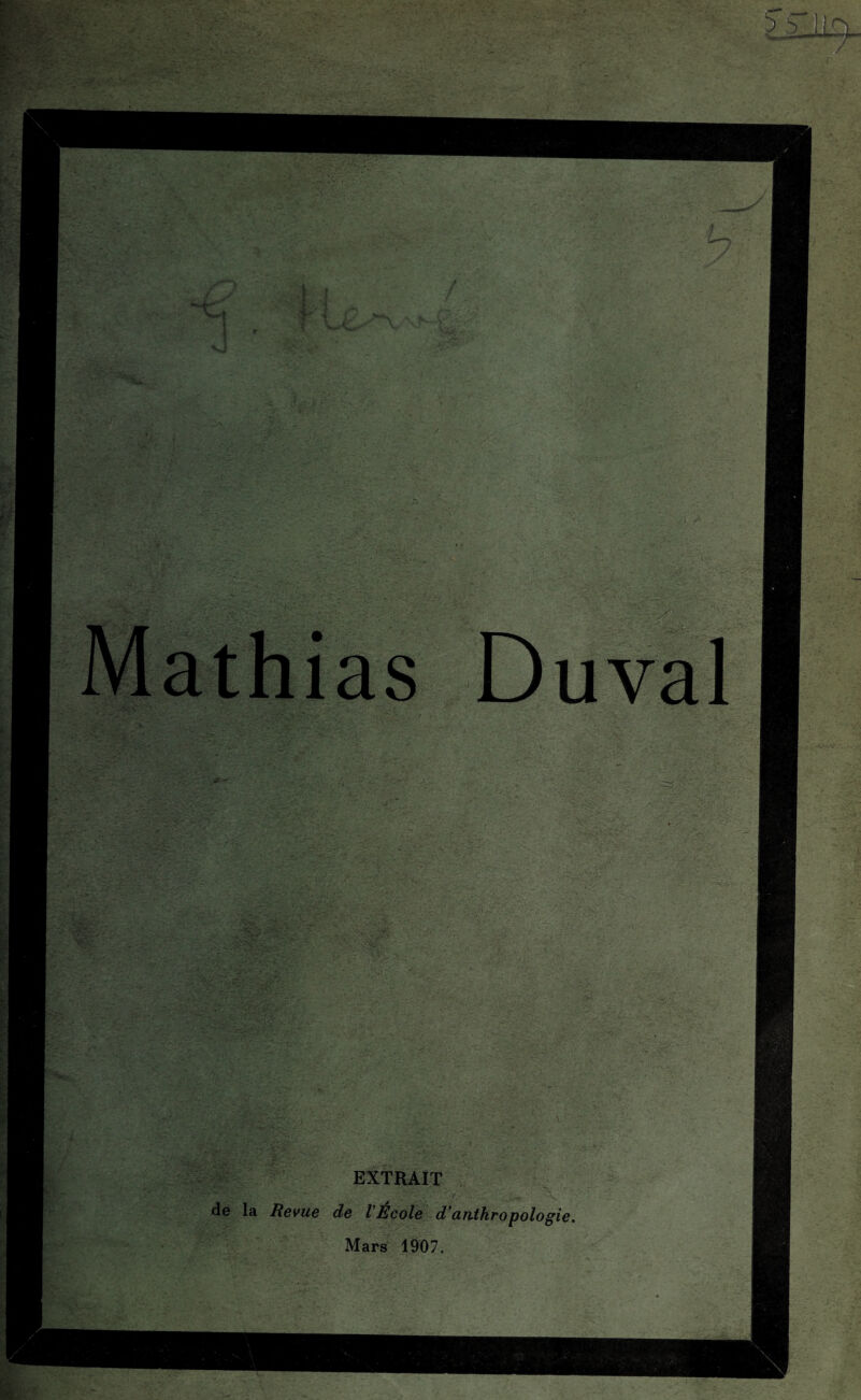 Mathias Duval EXTRAIT de la Revue de VÉcole d’anthropologie. Mars 1907.