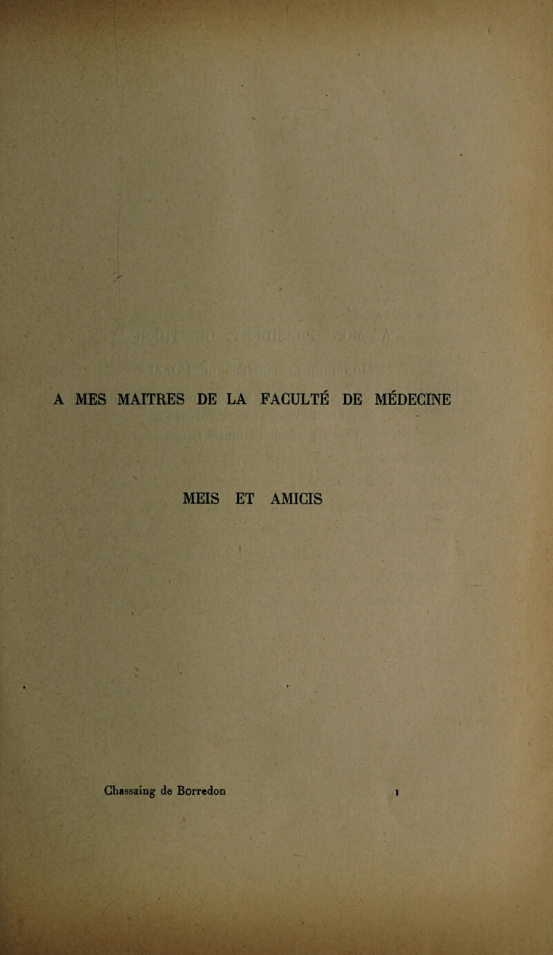 A MES MAITRES DE LA FACULTÉ DE MÉDECINE MEIS ET AMICIS Ghassaing de Borredon 1