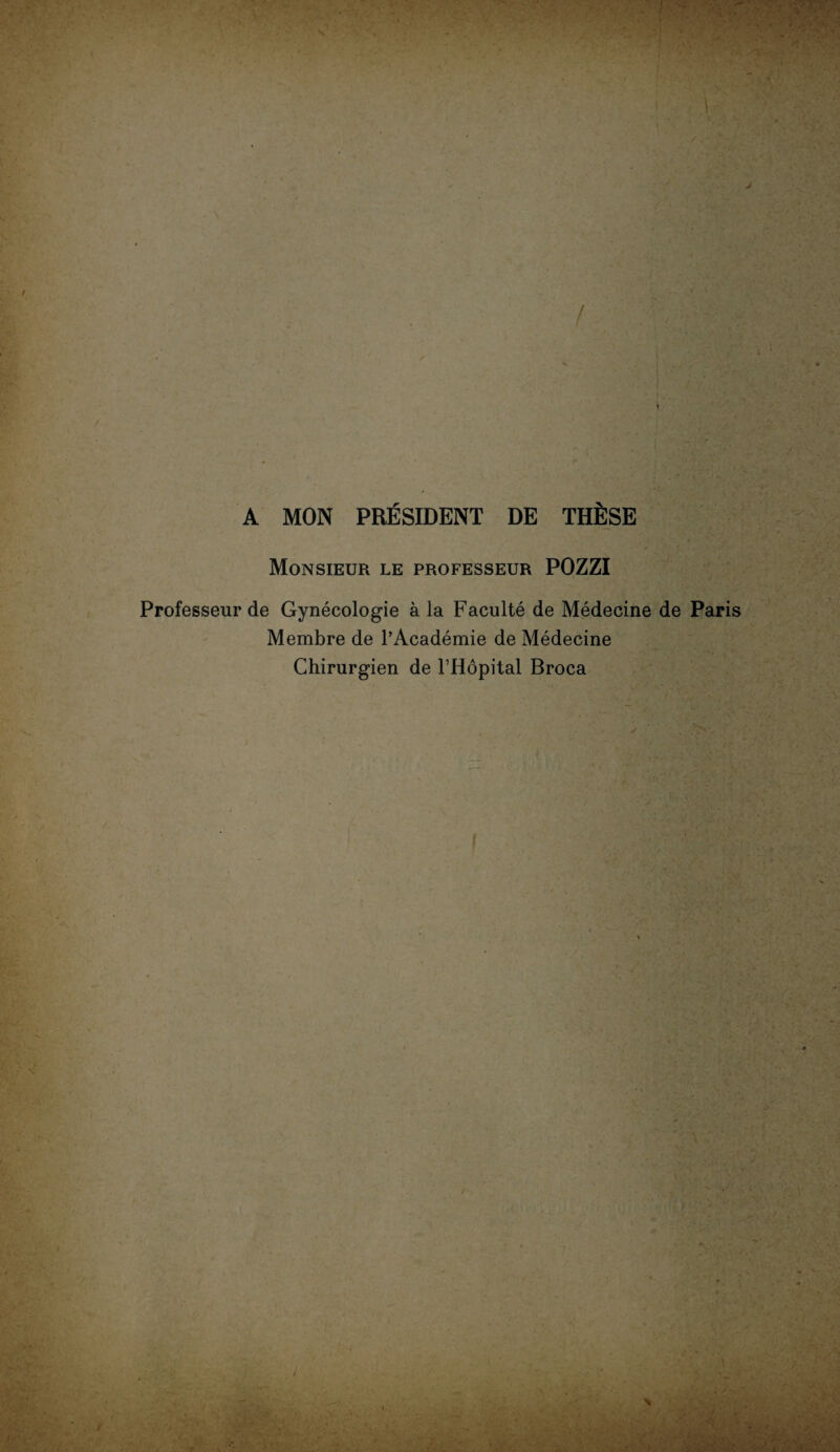 A MON PRÉSIDENT DE THÈSE Monsieur le professeur POZZI Professeur de Gynécologie à la Faculté de Médecine de Paris Membre de l’Académie de Médecine Chirurgien de l’Hôpital Broca