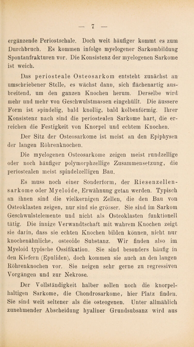 ergänzende Periostschale. Doch weit häufiger kommt es zum Durchbruch. Es kommen infolge myelogener Sarkombildung Spontanfrakturen vor. Die Konsistenz der myelogenen Sarkome ist weich. Das periosteale Osteosarkom entsteht zunächst an umschriebener Stelle, es wächst dann, sich flächenartig aus¬ breitend, um den ganzen Knochen herum. Derselbe wird mehr und mehr von Geschwulstmassen eingehüllt. Die äussere Form ist spindelig, bald knollig, bald kolbenförmig. Ihrer Konsistenz nach sind die periostealen Sarkome hart, die er¬ reichen die Festigkeit von Knorpel und echtem Knochen. Der Sitz der Osteosarkome ist meist an den Epiphysen der langen Röhrenknochen. Die myelogenen Osteosarkome zeigen meist rundzellige oder noch häufiger polymorphzellige Zusammensetzung, die periostealen meist spindelzelligen Bau. Es muss noch einer Sonderform, der Riesenzellen¬ sarkome oder Myeloide, Erwähnung getan werden. Typisch an ihnen sind die vielkernigen Zellen, die den Bau von Osteoklasten zeigen, nur sind sie grösser. Sie sind im Sarkom Geschwulstelemente und nicht als Osteoklasten funktionell tätig. Die innige Verwandtschaft mit wahrem Knochen zeigt sie darin, dass sie echten Knochen bilden können, nicht nur knochenähnliche, osteoide Substanz. Wir finden also im Myeloid typische Ossifikation. Sie sind besonders häufig in den Kiefern (Epuliden), doch kommen sie auch an den langen Röhrenknochen vor. Sie neigen sehr gerne zu regressiven Vorgängen und zur Nekrose. Der Vollständigkeit halber sollen noch die knorpel¬ haltigen Sarkome, die Chondrosarkome, hier Platz finden. Sie sind weit seltener als die osteogenen. Unter allmählich zunehmender Abscheidung hyaliner Grundsubsanz wird aus