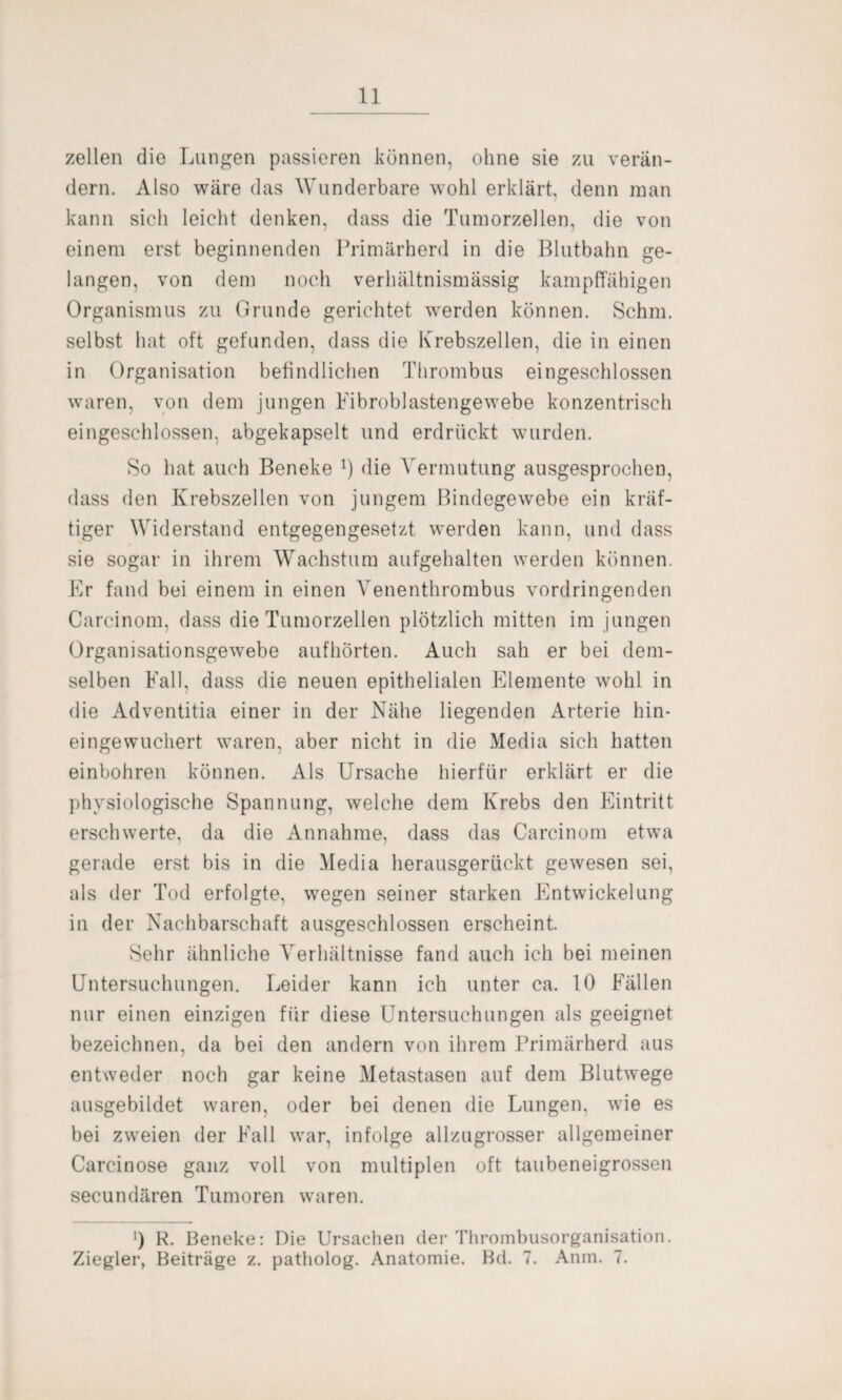 zellen die Lungen passieren können, ohne sie zu verän¬ dern. Also wäre das Wunderbare wohl erklärt, denn man kann sich leicht denken, dass die Tumorzellen, die von einem erst beginnenden Primärherd in die Blutbahn ge¬ langen, von dem noch verhältnismässig kampffähigen Organismus zu Grunde gerichtet werden können. Schm, selbst hat oft gefunden, dass die Krebszellen, die in einen in Organisation befindlichen Thrombus eingeschlossen waren, von dem jungen Fibroblastengewebe konzentrisch eingeschlossen, abgekapselt und erdrückt wurden. So hat auch Beneke *) die Vermutung ausgesprochen, dass den Krebszellen von jungem Bindegewebe ein kräf¬ tiger Widerstand entgegengesetzt werden kann, und dass sie sogar in ihrem Wachstum aufgehalten werden können. Kr fand bei einem in einen Venenthrombus vordringenden Carcinom, dass die Tumorzellen plötzlich mitten im jungen Organisationsgewebe aufhörten. Auch sah er bei dem¬ selben Fall, dass die neuen epithelialen Fllemente wohl in die Adventitia einer in der Nähe liegenden Arterie hin¬ eingewuchert waren, aber nicht in die Media sich hatten einbohren können. Als Ursache hierfür erklärt er die physiologische Spannung, welche dem Krebs den Eintritt erschwerte, da die Annahme, dass das Carcinom etwa gerade erst bis in die Media herausgerückt gewesen sei, als der Tod erfolgte, wegen seiner starken Flntwickelung in der Nachbarschaft ausgeschlossen erscheint. Sehr ähnliche AVrhältnisse fand auch ich bei meinen Untersuchungen. Leider kann ich unter ca. 10 Fällen nur einen einzigen für diese Untersuchungen als geeignet bezeichnen, da bei den andern von ihrem Primärherd aus entweder noch gar keine Metastasen auf dem Blutwege ausgebildet waren, oder bei denen die Lungen, wie es bei zweien der Fall war, infolge allzugrosser allgemeiner Carcinose ganz voll von multiplen oft taubeneigrossen secundären Tumoren waren. ') R. Beneke: Die Ursachen der Thrombusorganisation. Ziegler, Beiträge z. patholog. Anatomie. Bd. 7. Anm. 7.