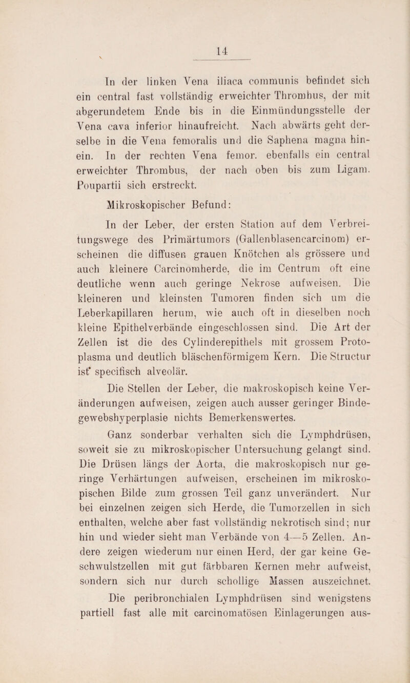 In der linken Vena iliaca communis befindet sich ein central fast vollständig erweichter Thrombus, der mit abgerundetem Ende bis in die Einmündungsstelle der Yena cava inferior hinaufreicht. Nach abwärts geht der¬ selbe in die Yena femoralis und die Saphena magna hin¬ ein. In der rechten Yena femor. ebenfalls ein central erweichter Thrombus, der nach oben bis zum Ligam. Poupartii sich erstreckt. Mikroskopischer Befund: In der Leber, der ersten Station auf dem Yerbrei- tungswege des Primärtumors (Gallenblasencarcinom) er¬ scheinen die diffusen grauen Knötchen als grössere und auch kleinere Carcinomherde. die im Centrum oft eine / deutliche wenn auch geringe Nekrose aufweisen. Die kleineren und kleinsten Tumoren finden sich um die Leberkapillaren herum, wie auch oft in dieselben noch kleine Epithelverbände eingeschlossen sind. Die Art der Zellen ist die des Cylinderepithels mit grossem Proto¬ plasma und deutlich bläschenförmigem Kern. Die Structur ist* specifisch alveolär. Die Stellen der Leber, die makroskopisch keine Ver¬ änderungen aufweisen, zeigen auch ausser geringer Binde- gewebshvperplasie nichts Bemerkenswertes. Ganz sonderbar verhalten sich die Lymphdrüsen, soweit sie zu mikroskopischer Untersuchung gelangt sind. Die Drüsen längs der Aorta, die makroskopisch nur ge¬ ringe Verhärtungen aufw^eisen, erscheinen im mikrosko¬ pischen Bilde zum grossen Teil ganz unverändert. Nur bei einzelnen zeigen sich Herde, die Tumorzellen in sich enthalten, welche aber fast vollständig nekrotisch sind; nur hin und wieder sieht man Verbände von 4—5 Zellen. An¬ dere zeigen wiederum nur einen Herd, der gar keine Ge¬ schwulstzellen mit gut färbbaren Kernen mehr aufweist, sondern sich nur durch schollige Massen auszeichnet. Die peribronchiaien Lymphdrüsen sind wenigstens partiell fast alle mit carcinomatösen Einlagerungen aus-