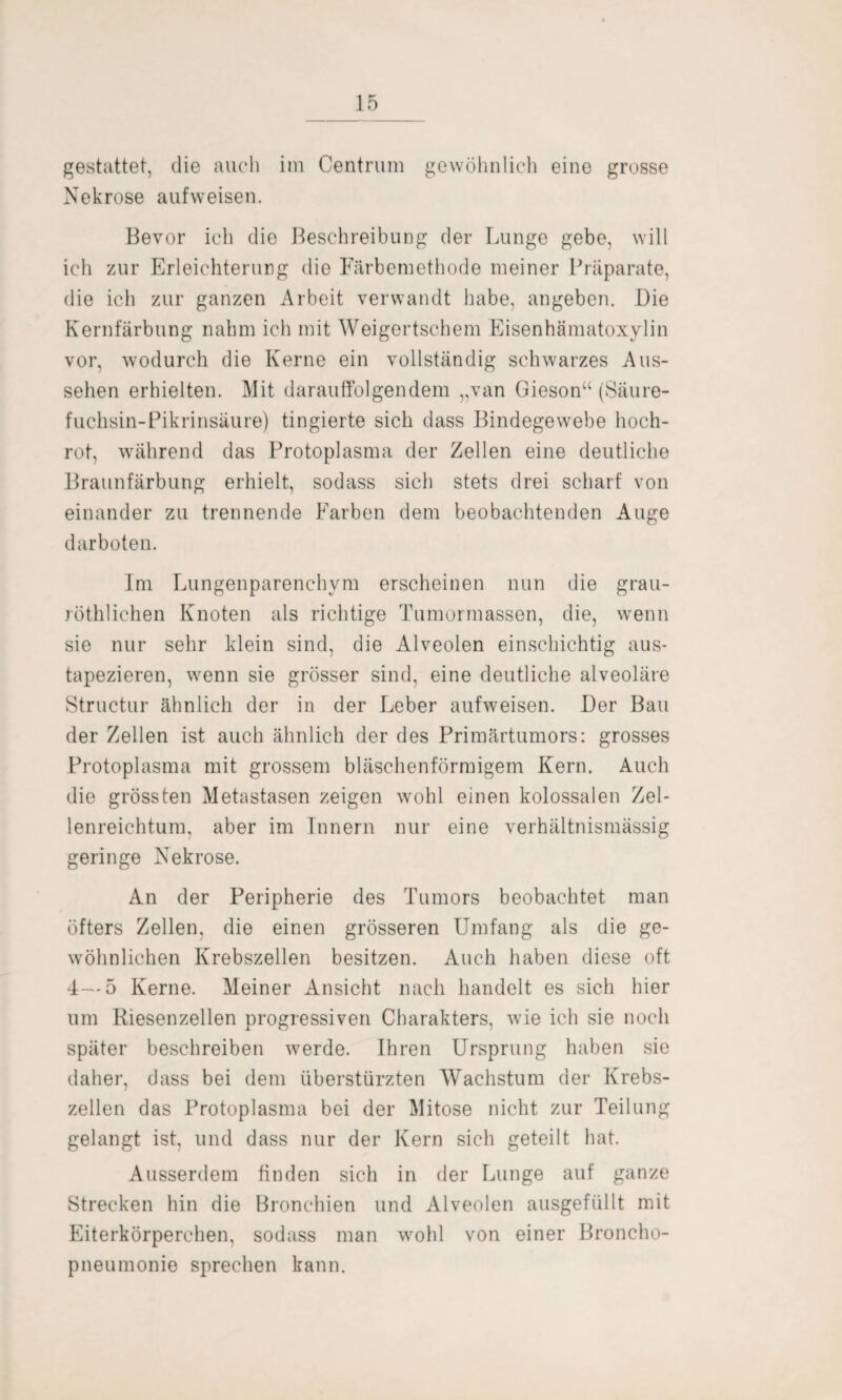 gestattet, die auch im Centrum gewöhnlich eine grosse Nekrose aufweisen. Bevor ich die Beschreibung der Lunge gebe, will ich zur Erleichterung die Färbemethode meiner Präparate, die ich zur ganzen Arbeit verwandt habe, angeben. Die Kernfärbung nahm ich mit Weigertschem Eisenhämatoxylin vor, wodurch die Kerne ein vollständig schwarzes Aus¬ sehen erhielten. Mit darauffolgendem „van Gieson“ (Säure¬ fuchsin-Pikrinsäure) fingierte sich dass Bindegewebe hoch¬ rot, während das Protoplasma der Zellen eine deutliche Braunfärbung erhielt, sodass sich stets drei scharf von einander zu trennende Farben dem beobachtenden Auge darboten. Im Lungenparenchym erscheinen nun die grau- röthlichen Knoten als richtige Tumormassen, die, wenn sie nur sehr klein sind, die Alveolen einschichtig aus¬ tapezieren, wenn sie grösser sind, eine deutliche alveoläre Structur ähnlich der in der Leber aufweisen. Der Bau der Zellen ist auch ähnlich der des Primärtumors: grosses Protoplasma mit grossem bläschenförmigem Kern. Auch die grössten Metastasen zeigen wohl einen kolossalen Zel¬ lenreichtum, aber im Innern nur eine verhältnismässig geringe Nekrose. An der Peripherie des Tumors beobachtet man öfters Zellen, die einen grösseren Umfang als die ge¬ wöhnlichen Krebszellen besitzen. Auch haben diese oft 4—5 Kerne. Meiner Ansicht nach handelt es sich hier um Riesenzellen progressiven Charakters, wie ich sie noch später beschreiben werde. Ihren Ursprung haben sie daher, dass bei dem überstürzten Wachstum der Krebs¬ zellen das Protoplasma bei der Mitose nicht zur Teilung gelangt ist, und dass nur der Kern sich geteilt hat. Ausserdem finden sich in der Lunge auf ganze Strecken hin die Bronchien und Alveolen ausgefüllt mit Eiterkörperchen, sodass man wohl von einer Broncho¬ pneumonie sprechen kann.