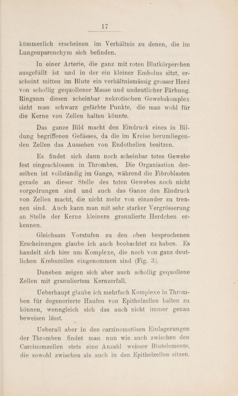 kümmerlich erscheinen im Verhältnis zu denen, die im Lungenparenchym sich befinden. In einer Arterie, die ganz mit roten Blutkörperchen ausgefüllt ist und in der ein kleiner Embolus sitzt, er¬ scheint mitten im Blute ein verhältnismässig grosser Herd von schollig gequollener Masse und undeutlicher Färbung. Ringsum diesen scheinbar nekrotischen Gewebskomplex sieht man schwarz gefärbte Punkte, die man wohl für die Kerne von Zellen halten könnte. Das ganze Bild macht den Eindruck eines in Bil¬ dung begriffenen Gefässes, da die im Kreise herumliegen¬ den Zellen das Aussehen von Endothelien besitzen. Es findet sich dann noch scheinbar totes Gewebe fest eingeschlossen in Thromben. Die Organisation der¬ selben ist vollständig im Gange, während die Fibroblasten gerade an dieser Stelle des toten Gewebes noch nicht vorgedrungen sind und auch das Ganze den Eindruck von Zellen macht, die nicht mehr von einander zu tren¬ nen sind. Auch kann man mit sehr starker Vergrösserung an Stelle der Kerne kleinere granulierte Herdchen er¬ kennen. Gleichsam Vorstufen zu den oben besprochenen Erscheinungen glaube ich auch beobachtet zu haben. Es handelt sich hier um Komplexe, die noch von ganz deut¬ lichen Krebszellen eingenommen sind (Fig. 3). Daneben zeigen sich aber auch schollig gequollene Zellen mit granuliertem Kernzerfall. Ueberhaupt glaube ich mehrfach Komplexe in Throm¬ ben für degenerierte Haufen von Epithelzellen halten zu können, wenngleich sich das auch nicht immer genau beweisen lässt. Ueberall aber in den carzinomatösen Einlagerungen der Thromben findet man nun wie auch zwischen den Carcinomzellen stets eine Anzahl weisser Blutelemente, die sowohl zwischen als auch in den Epithelzellen sitzen.