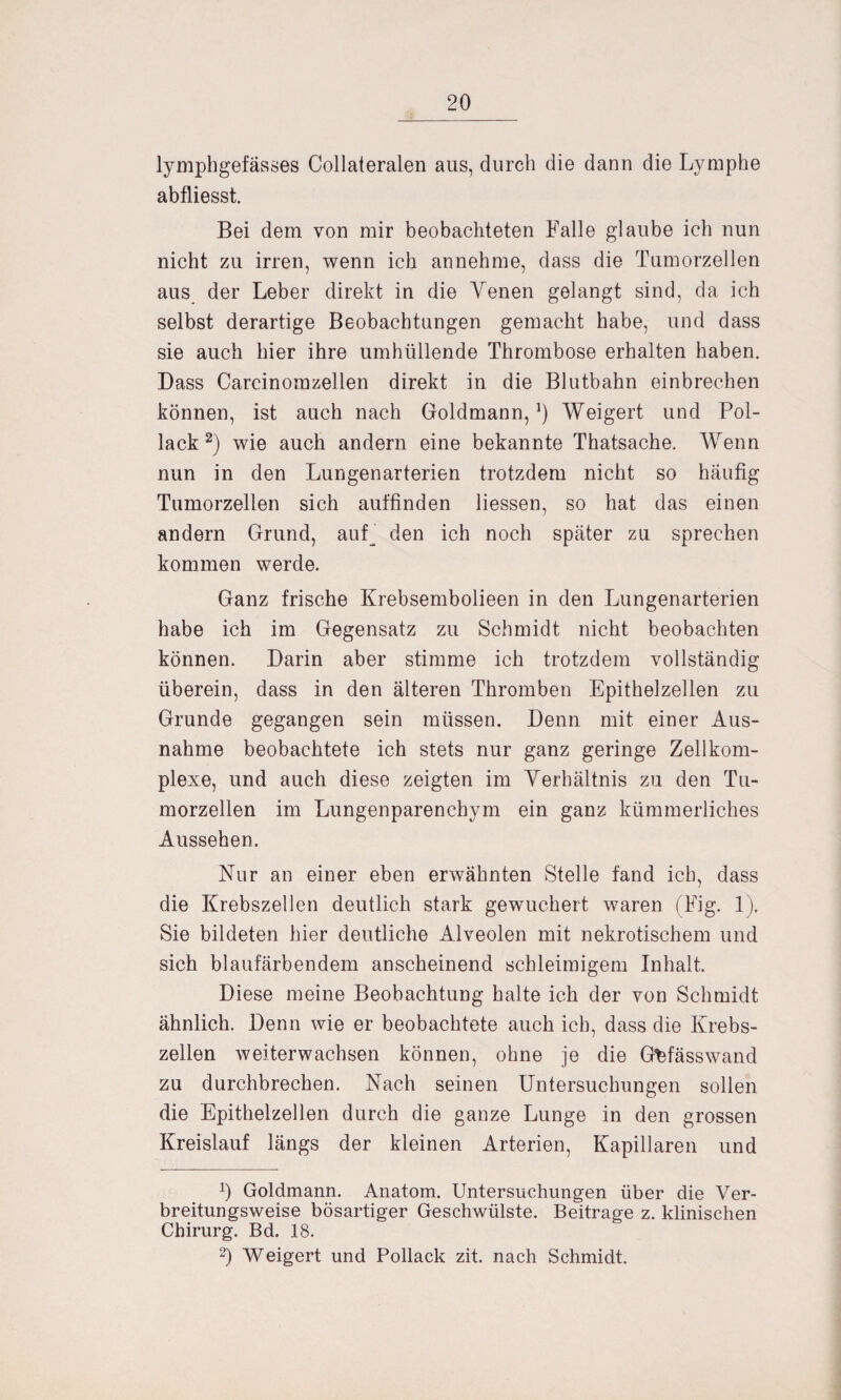 lymphgefässes Collateralen aus, durch die dann die Lymphe abfliesst. Bei dem von mir beobachteten Falle glaube ich nun nicht zu irren, wenn ich an nehme, dass die Tumorzellen aus der Leber direkt in die Venen gelangt sind, da ich selbst derartige Beobachtungen gemacht habe, und dass sie auch hier ihre umhüllende Thrombose erhalten haben. Dass Carcinorazellen direkt in die Blutbahn einbrechen können, ist auch nach Goldmann,*) Weigert und Pol¬ lack 2) wie auch andern eine bekannte Thatsache. Wenn nun in den Lungenarterien trotzdem nicht so häufig Tumorzellen sich auffinden Hessen, so hat das einen andern Grund, auf_ den ich noch später zu sprechen kommen werde. Ganz frische Krebsembolieen in den Lungenarterien habe ich im Gegensatz zu Schmidt nicht beobachten können. Darin aber stimme ich trotzdem vollständig überein, dass in den älteren Thromben Epithelzellen zu Grunde gegangen sein müssen. Denn mit einer Aus¬ nahme beobachtete ich stets nur ganz geringe Zellkom¬ plexe, und auch diese zeigten im Verhältnis zu den Tu¬ morzellen im Lungenparenchym ein ganz kümmerliches Aussehen. Nur an einer eben erwähnten Stelle fand ich, dass die Krebszellen deutlich stark gewuchert waren (Fig. 1). Sie bildeten hier deutliche Alveolen mit nekrotischem und sich blaufärbendem anscheinend schleimigem Inhalt. Diese meine Beobachtung halte ich der von Schmidt ähnlich. Denn wie er beobachtete auch ich, dass die Krebs¬ zellen weiterwachsen können, ohne je die Gfefässwand zu durchbrechen. Nach seinen Untersuchungen sollen die Epithelzellen durch die ganze Lunge in den grossen Kreislauf längs der kleinen Arterien, Kapillaren und Goldmann. Anatom. Untersuchungen über die Ver¬ breitungsweise bösartiger Geschwülste. Beitrage z. klinischen Chirurg. Bd. 18. 2) Weigert und Pollack zit. nach Schmidt.