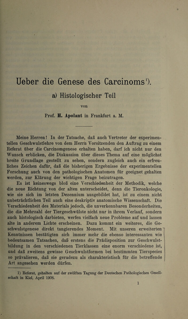 Ueber die Genese des Careinoms1). a) Histologischer Teil von Prof. H. Apolant in Frankfurt a. M. Meine Herren! In der Tatsache, daß auch Vertreter der experimen¬ tellen Geschwulstlehre von dem Herrn Vorsitzenden den Auftrag zu einem Referat über die Carcinomgenese erhalten haben, darf ich nicht nur den Wunsch erblicken, die Diskussion über dieses Thema auf eine möglichst breite Grundlage gestellt zu sehen, sondern zugleich auch ein erfreu¬ liches Zeichen dafür, daß die bisherigen Ergebnisse der experimentellen Forschung auch von den pathologischen Anatomen für geeignet gehalten werden, zur Klärung der wichtigen Frage beizutragen. Es ist keineswegs bloß eine Verschiedenheit der Methodik, welche die neue Richtung von der alten unterscheidet, denn die Tieronkologie, wie sie sich im letzten Dezennium ausgebildet hat, ist zu einem nicht unbeträchtlichen Teil auch eine deskriptiv anatomische Wissenschaft. Die Verschiedenheit des Materials jedoch, die unverkennbaren Besonderheiten, die die Mehrzahl der Tiergeschwülste nicht nur in ihrem Verlauf, sondern auch histologisch darbieten, werfen vielfach neue Probleme auf und lassen alte in anderem Lichte erscheinen. Dazu kommt ein weiteres, die Ge¬ schwulstgenese direkt tangierendes Moment. Mit unseren erweiterten Kenntnissen bestätigten sich immer mehr die ebenso interessanten wie bedeutsamen Tatsachen, daß erstens die Prädisposition zur Geschwulst¬ bildung in den verschiedenen Tierklassen eine enorm verschiedene ist, und daß zweitens gewisse Geschwulstformen bei bestimmten Tierspecies so prävalieren, daß sie geradezu als charakteristisch für die betreffende Art angesehen werden dürfen. 1) Referat, gehalten auf der zwölften Tagung der Deutschen Pathologischen Gesell¬ schaft in Kiel, April 1908.