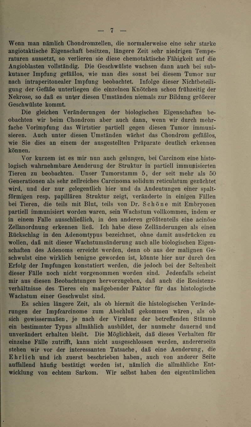 Wenn man nämlich Chondromzellen, die normalerweise eine sehr starke angiotaktische Eigenschaft besitzen, längere Zeit sehr niedrigen Tempe¬ raturen aussetzt, so verlieren sie diese chemotaktische Fähigkeit auf die Angioblasten vollständig. Die Geschwülste wachsen dann auch bei sub¬ kutaner Impfung gefäßlos, wie man dies sonst bei diesem Tumor nur nach intraperitonealer Impfung beobachtet. Infolge dieser Nichtbeteili¬ gung der Gefäße unterliegen die einzelnen Knötchen schon frühzeitig der Nekrose, so daß es unfer diesen Umständen niemals zur Bildung größerer Geschwülste kommt. Die gleichen Veränderungen der biologischen Eigenschaften be¬ obachten wir beim Chondrom aber auch dann, wenn wir durch mehr¬ fache Vorimpfung das Wirtstier partiell gegen diesen Tumor immuni¬ sieren. Auch unter diesen Umständen wächst das Chondrom gefäßlos, wie Sie dies an einem der ausgestellten Präparate deutlich erkennen können. Vor kurzem ist es mir nun auch gelungen, bei Carcinom eine histo¬ logisch wahrnehmbare Aenderung der Struktur in partiell immunisierten Tieren zu beobachten. Unser Tumorstamm 5, der seit mehr als 50 Generationen als sehr zellreiches Carcinoma solidum reticulatum gezüchtet wird, und der nur gelegentlich hier und da Andeutungen einer spalt¬ förmigen resp. papillären Struktur zeigt, veränderte in einigen Fällen bei Tieren, die teils mit Blut, teils von Dr. Schöne mit Embryonen partiell immunisiert worden waren, sein Wachstum vollkommen, indem er in einem Falle ausschließlich, in den anderen größtenteils eine acinöse Zellanordnung erkennen ließ. Ich habe diese Zelländerungen als einen Rückschlag in den Adenomtypus bezeichnet, ohne damit ausdrücken zu I wollen, daß mit dieser Wachstumsänderung auch alle biologischen Eigen¬ schaften des Adenoms erreicht werden, denn ob aus der malignen Ge¬ schwulst eine wirklich benigne geworden ist, könnte hier nur durch den Erfolg der Impfungen konstatiert werden, die jedoch bei der Seltenheit dieser Fälle noch nicht vorgenommen worden sind. Jedenfalls scheint mir aus diesen Beobachtungen hervorzugehen, daß auch die Resistenz¬ verhältnisse des Tieres ein maßgebender Faktor für das histologische Wachstum einer Geschwulst sind. Es schien längere Zeit, als ob hiermit die histologischen Verände¬ rungen der Impfcarcinome zum Abschluß gekommen wären, als ob sich gewissermaßen, je nach der Virulenz der betreffenden Stämme ein bestimmter Typus allmählich ausbildet, der nunmehr dauernd und unverändert erhalten bleibt. Die Möglichkeit, daß dieses Verhalten für einzelne Fälle zutrifft, kann nicht ausgeschlossen werden, andererseits stehen wir vor der interessanten Tatsache, daß eine Aenderung, die Ehrlich und ich zuerst beschrieben haben, auch von anderer Seite auffallend häufig bestätigt worden ist, nämlich die allmähliche Ent¬ wicklung von echtem Sarkom. Wir selbst haben den eigentümlichen