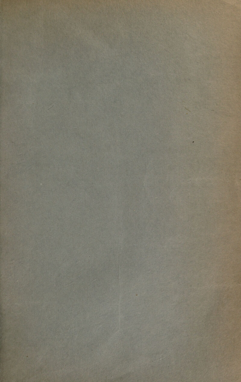 V-:.- . v : .« ®3V-- . -v. V, .4 ;® ? Si® ^ > -: • ■ ■ ■. >. ■ • ■K.-: viM,?-*': ;c*/vv^-.> ••'-■■ . -s9K**' , - i 0 • v’siv®*®,' ''^grr. '.•' . - • ti . -