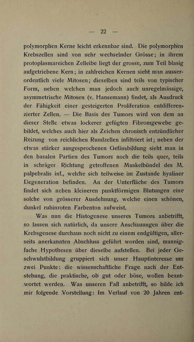 polymorphen Kerne leicht erkennbar sind. Die polymorphen Krebszellen sind von sehr wechselnder Grösse; in ihrem protoplasmareichen Zelleibe liegt der grosse, zum Teil blasig aufgetriebene Kern; in zahlreichen Kernen sieht m'an aussler- ordentlich viele Mitosen; dieselben sind teils von typischer Form, neben welchen man jedoch auch unregelmässige, asymmetrische Mitosen (v. Hansemann) findet, als Ausdruck der Fähigkeit einer gesteigerten Proliferation entdifferen-t zierter Zellen. — Die Basis des' Tumors wird von dem an dieser Stelle etwas lockerer gefügten Fibromgewebe ge¬ bildet, welches auch hier als Zeichen chronis'ch entzündlicher Reizung von reichlichen Rundzellen infiltriert ist; neben der etwas stärker ausgesprochenen Gefässbildung sieht man in den basalen Partien des Tumors' noch die teils quer, teils in schräger Richtung getroffenen Muskelbündel des M. palpebralis inf., welche sich teilweise im' Zustande hyaliner Degeneration befinden. An der Unterfläche des Tumors findet sich neben kleineren punktförmigen Blutungen eine solche von grösserer Ausdehnung, welche einen schönen, dunkel rubinroten Farbenton aufweist. Was nun die Histogenese unseres Tumors anbetrifft, so lassen sich natürlich, da unsere Anschauungen über die Krebsgenese durchaus noch nicht zu einem endgültigen, aller¬ seits lanerkannten Abschluss geführt worden sind, mannig¬ fache Hypothesen über dieselbe auf st eilen. Bei jeder Ge¬ schwulstbildung gruppiert sich unser Hauptinteresse um zwei Punkte: die wissenschaftliche Frage nach der Ent¬ stehung, die praktische, ob gut oder böse, wollen beant¬ wortet werden. Was unseren Fall anbetrifft, so bilde ich mir folgende Vorstellung: Im Verlauf von 20 Jahren ent-