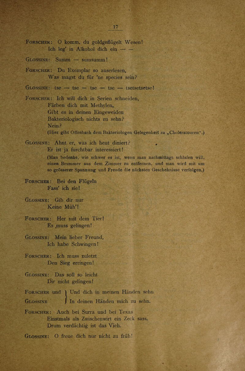 Forscher: 0 komm, du goldgeflügelt Wesen! Ich leg’ in Alkohol dich ein —' — Glossine: Summ — sumsumm! Forscher: Du Exemplar so auserlesen, Was magst du für ’ne species sein? Glossine: tse — tse — tse — tse — tsetsetsetse 1 Forscher: Ich will dich in Serien schneiden, Färben dich mit Methylen, Gibt es in deinen Eingeweiden Bakteriologisch nichts zu sehn? Nein? (Hier gibt Oifenbach dem Bakteriologen Gelegenheit zu „Choleratouren“.) Glossine: Ahnt er, was ich heut diniert? ^ Er ist ja furchtbar interessiert! (Man bedenke, wie schwer es ist, wenn man nachmittags schlafen will, einen Brummer aus dem Zimmer zu entfernen, und man wird mit um so grösserer Spannung und Freude die nächsten Geschehnisse verfolgen.) Forscher: Bei den Flügeln Fass’ ich sie! Glossine: Gib dir nur Keine Müh’! Forscher: Her mit dem Tier! Es muss gelingen! Glossine: Mein lieber Freund, Ich habe Schwingen! Forscher: Ich muss zuletzt Den Sieg erringen! Glossine: Das soll so leicht Dir nicht gelingen! Forscher und Und dich in meinen Händen sehn . Glossine In deinen Händen mich zu sehn. Forscher; Auch bei Surra und bei Texas Einstmals als Zwischenwirt ein Zeck sass. Drum verdächtig ist das Vieh. Glossine: O freue dich nur nicht zu früh!