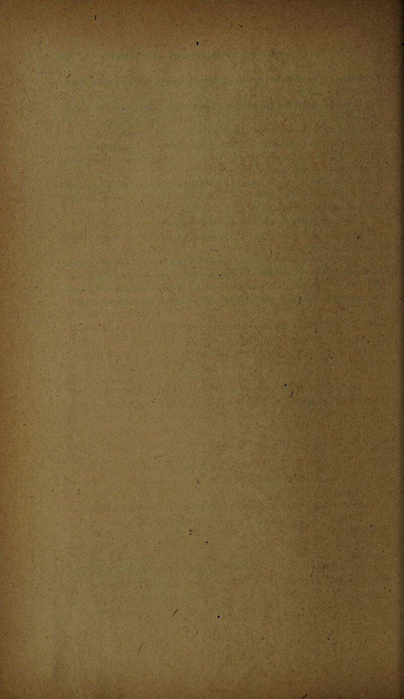 / l • ' ê .. ’ v ' V #v y i i