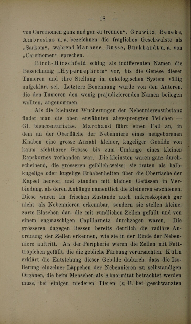 von Carcinomen ganz und gar zu trennen“, Grawitz, -Beneke, Ambrosius u. a. bezeichnen die fraglichen Geschwülste als „Sarkom“, während Manasse, Busse, Burkhardt u. a. von „Carcinomen“ sprechen. Birch-Hirschfeld schlug als indifferenten Namen die Bezeichnung „Hypernephrom“ vor, bis die Genese dieser Tumoren und ihre Stellung im onkologischen System völlig aufgeklärt sei. Letztere Benennung wurde von den Autoren, die den Tumoren den wenig präjudizierenden Namen beilegen wollten, angenommen. Als die kleinsten Wucherungen der Nebennierensubstanz findet man die oben erwähnten abgesprengten Teilchen — Gl. bisuccenturiatae. Marchand führt einen Fall an, in dem an der Oberfläche der Nebenniere eines neugeborenen Knaben eine grosse Anzahl kleiner, kugeliger Gebilde von kaum sichtbarer Grösse bis zum Umfange eines kleinen Rapskornes vorhanden war. Die kleinsten waren ganz durch¬ scheinend, die grösseren gelblich-weiss; sie traten als halb¬ kugelige oder kugelige Erhabenheiten über die Oberfläche der Kapsel hervor, und standen mit kleinen Gefässen in Ver¬ bindung, als deren Anhänge namentlich die kleineren erschienen. Diese waren im frischen Zustande auch mikroskopisch gar nicht als Nebennieren erkennbar, sondern sie stellen kleine, zarte Bläschen dar, die mit rundlichen Zellen gefüllt und von einem engmaschigen Capillarnetz durchzogen waren. Die grösseren dagegen Hessen bereits deutlich die radiäre An¬ ordnung der Zellen erkennen, wie sie in der Rinde der Neben¬ niere auftritt. An der Peripherie waren die Zellen mit Fett¬ tröpfchen gefüllt, die die gebliche Färbung verursachten. Kühn erklärt die Entstehung dieser Gebilde dadurch, dass die Iso¬ lierung einzelner Läppchen der Nebennieren zu selbständigen Organen, die beim Menschen als Abnormität betrachtet werden muss, bei einigen niederen Tieren (z. B. bei geschwänzten