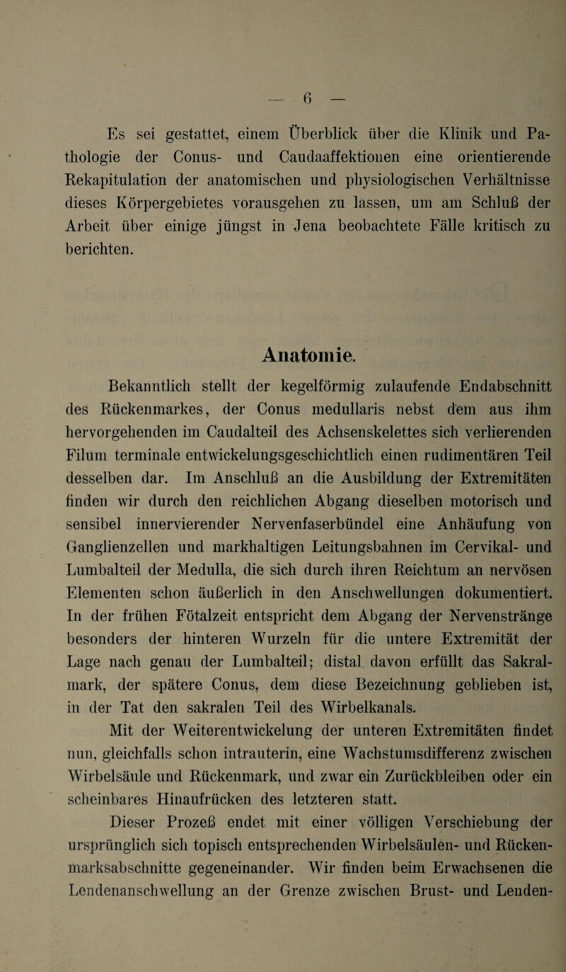 Es sei gestattet, einem Überblick über die Klinik und Pa¬ thologie der Conus- und Caudaaffektionen eine orientierende Rekapitulation der anatomischen und physiologischen Verhältnisse dieses Körpergebietes vorausgehen zu lassen, um am Schluß der Arbeit über einige jüngst in Jena beobachtete Fälle kritisch zu berichten. Anatomie. Bekanntlich stellt der kegelförmig zulaufende Endabschnitt des Rückenmarkes, der Conus medullaris nebst dem aus ihm hervorgehenden im Caudalteil des Achsenskelettes sich verlierenden Filum terminale entwickelungsgeschichtlich einen rudimentären Teil desselben dar. Im Anschluß an die Ausbildung der Extremitäten finden wir durch den reichlichen Abgang dieselben motorisch und sensibel innervierender Nervenfaserbündel eine Anhäufung von Ganglienzellen und markhaltigen Leitungsbahnen im Cervikal- und Lumbalteil der Medulla, die sich durch ihren Reichtum an nervösen Elementen schon äußerlich in den Anschwellungen dokumentiert. In der frühen Fötalzeit entspricht dem Abgang der Nervenstränge besonders der hinteren Wurzeln für die untere Extremität der Lage nach genau der Lumbalteil; distal davon erfüllt das Sakral¬ mark, der spätere Conus, dem diese Bezeichnung geblieben ist, in der Tat den sakralen Teil des Wirbelkanals. Mit der Weiterentwickelung der unteren Extremitäten findet nun, gleichfalls schon intrauterin, eine Wachstumsdifferenz zwischen Wirbelsäule und Rückenmark, und zwar ein Zurückbleiben oder ein scheinbares Hinaufrücken des letzteren statt. Dieser Prozeß endet mit einer völligen Verschiebung der ursprünglich sich topisch entsprechenden Wirbelsäulen- und Rücken¬ marksabschnitte gegeneinander. Wir finden beim Erwachsenen die Lendenanschwellung an der Grenze zwischen Brust- und Lenden-