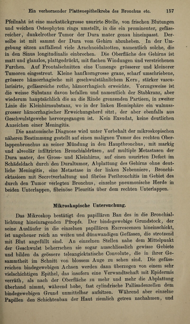 Pfeilnaht ist eine markstiickgrosse usurirte Stelle, von frischen Blutungen und weichen Osteophyten rings umstellt, in die ein prominenter, gefass- reicher, dunkelrother Tumor der Dura mater genau hineinpasst. Der- selbe ist mit sammt der Dura vom Gehirn abzuheben. In der Um- gebung sitzen auffallend viele Arachnoidalzotten, namentlich solche, die in den Sinus longitudinalis einbrechen. Die Oberflache des Gehirns ist matt und glanzlos, plattgedriickt, mit flachen Windungen und verstrichenen Furchen. Auf Frontalschnitten eine Unmenge grosserer und kleinerer Tumoren eingestreut. Kleine hanfkorngrosse graue, scharf umschriebene, grossere hamorrhagische mit geschwulstahnlichem Kern, starker vascu- larisirte, gefassreiche rotlie, hamorrhagisch erweichte. Yorzugsweise ist die weisse Substanz davon befallen und namentlich der Stahkranz, aber wiederum hauptsachlich die an die Rinde grenzenden Partieen, in zweiter Linie die Kleinhirnsubstanz, wo in der linken Hemisphare ein walnuss- grosser hamorrhagischer Erweichungsherd sitzt, der aber ebenfalls aus Geschwulstgewebe hervorgegangen ist. Kein Exsudat, keine deutlichen Anzeichen einer Meningitis. Die anatomische Diagnose wird unter Yorbehalt der mikroskopischen naheren Bestimmung gestellt auf einen malignen Tumor des rechten Ober- lappenbronchus an seiner Miindung in den Hauptbronchus, mit markig und alveolar infiltrirten Broncbialdriisen, auf multiple Metastasen der Dura mater, des Gross- und Kleinhirns, auf einen usurirten Defect im Schadeldach durch den Duraltumor, Abplattung des Gehirns ohne deut- liche Meningitis, eine Metastase in der linken Nehenniere, Bronchi- ektasieen mit Secretverhaltung und fibrose Peribronchitis im Gebiet des durch den Tumor verlegten Bronchus, einzelne pneumonische Herde in beiden Unterlappen, fibrinose Pleuritis iiber dem rechten Unterlappen. Mikroskopische Untersuchung. Das Mikroskop bestatigt den papillaren Bau des in die Bronchial- lichtung hineinragenden Pfropfs. Der bindegewebige Grundstock, der seine Auslaufer in die einzelneu papillaren Excrescenzen hineinschickt, ist ungeheuer reich an weiten und diinnwandigen Gefassen, die strotzend mit Blut angefiillt sind. An einzelnen Stellen nahe dem Mittelpunkt der Geschwulst beherrschen sie sogar ausschliesslich gewisse Gebiete und bilden da grossere teleangiektatische Convolute, die in ihrer Ge- sammtheit im Schnitt von blossem Auge zu sehen sind. Die gefass- reichen bindegewebigen Achsen werden dann iiberzogen von einem sehr vielschichtigen Epithel, das insofern eine Yerwandtschaft mit Epidermis verrath, als nach der Oberflache zu mehr und mehr die Abplattung iiberhand nimmt, wahrend hohe, fast cylindrische Pallisadenzellen dem bindegewebigen Grund unmittelbar aufsitzen. Wahrend aber einzelne Papillen den Schichtenbau der Haut ziemlich getreu nachahmen , und