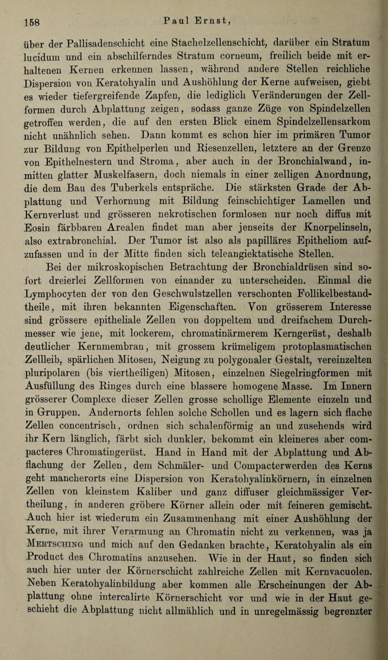 liber der Pallisadenscbicht eine Stachelzellenschicht, dariiber ein Stratum lucidum und ein abschilferndes Stratum corneum, freilich beide mit er- haltenen Keruen erkennen lassen, wahrend andere Stellen reicbliche Dispersion von Keratohyalin und Aushohlung der Kerne aufweisen, giebt es wieder tiefergreifende Zapfen, die lediglicli Yeranderungen der Zell- formen durcli Abplattung zeigen, sodass ganze Ziige von Spindelzellen getroffen werden, die auf den ersten Blick einem Spindelzellensarkom nicht unahnlich seben. Dann kommt es schon hier im primaren Tumor zur Bildung von Epitbelperlen und Biesenzellen, letztere an der Grenze von Epithelnestern und Stroma, aber auch in der Bronchialwand, in¬ mitten glatter Muskelfasern, doch niemals in einer zelligen Anordnung, die dem Ban des Tuberkels entsprache. Die starksten Grade der Ab¬ plattung und Yerhornung mit Bildung feinschiclitiger Lamellen und Kernverlust und grosseren nekrotisclien formlosen nur nocb diffus mit Eosin farbbaren Arealen findet man aber jenseits der Knorpelinseln, also extrabroncbial. Der Tumor ist also als papillares Epitbeliom auf- zufassen und in der Mitte finden sich teleangiektatische Stellen. Bei der mikroskopischen Betracbtung der Bronchialdriisen sind so- fort dreierlei Zellformen von einander zu unterscheiden. Einmal die Lymphocyten der von den Gesckwulstzellen verscbonten Follikelbestand- theile, mit ihren bekannten Eigenschaften. Yon grosserem Interesse sind grossere epitbeliale Zellen von doppeltem und dreifachem Durch- messer wie jene, mit lockerem, chromatinarmerem Kerngeriist, desbalb deutlicber Kernmembran, mit grossem kriimeligem protoplasmatiscben Zellleib, sparliclien Mitosen, Neigung zu polygonaler Gestalt, vereinzelten pluripolaren (bis viertheiligen) Mitosen, einzelnen Siegelringformen mit Ausfiillung des Binges durch eine blassere bomogene Masse. Im Innern grosserer Complexe dieser Zellen grosse scliollige Elemente einzeln und in Gruppen. Andernorts felilen solcbe Scbollen und es lagern sicb flache Zellen concentriscli, ordnen sicb scbalenformig an und zusehends wird ibr Kern langlicb, farbt sicb dunkler, bekommt ein kleineres aber com- pacteres Chromatingeriist. Hand in Hand mit der Abplattung und Ab- flacbung der Zellen, dem Scbmaler- und Compacterwerden des Kerns gebt manclierorts eine Dispersion von Keratohyalinkornern, in einzelnen Zellen von kleinstem Kaliber und ganz diffuser gleicbmassiger Yer- theilung, in anderen grobere Korner allein oder mit feineren gemiscbt. Aucb hier ist wiederum ein Zusammenhang mit einer Aushohlung der Kerne, mit ihrer Verarmung an Chromatin nicht zu verkennen, was ja Mertsching und mich auf den Gedanken brachte, Keratohyalin als ein Product des Chromatins anzusehen. Wie in der Haut, so finden sich auch hier unter der Kornerschicht zahlreiche Zellen mit Kernvacuolen. Heben Keratohyalinbildung aber kommen alle Erscheinungen der Ab¬ plattung ohne intercalirte Kornerschicht vor und wie in der Haut ge- schieht die Abplattung nicht allmahlich und in unregelmassig begrenzter