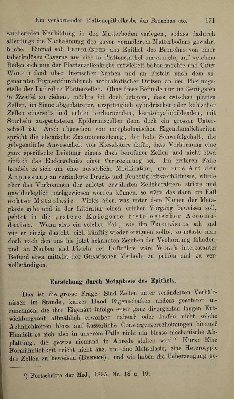 wuchernden Neubildung in den Mutterboden verlegen, sodass dadurcli allerdings die Nachahmung des zuvor veranderten Mutterbodens gewabrt bliebe. Einmal sab Friedlander das Epitbel des Bronchus von einer tuberkulosen Caverne aus sich in Plattenepitbel umwandeln, auf welchem Boden sich nun der Plattenzellenkrebs entwickelt haben mochte und Curt Wole *) fand liber luetischen Narben und an Fisteln nacli dem so- genannten Pigmentdurchbruch anthrakotischer Driisen an der Theilungs- stelle der Luftrohre Plattenzellen. Ohne diese Befunde nur im Geringsten in Zweifel zu ziehen, mochte ich docli betonen, dass zwischen platten Zellen, im Sinne abgeplatteter. urspriinglich cylindrischer oder kubischer Zellen einerseits und echten verhornenden, keratohyalinbildenden, mit Stacheln ausgeriisteten Epidermiszellen denn doch ein grosser Unter- schied ist. Auch abgesehen von morphologischen Eigenthiimlichkeiten spricht die chemische Zusammensetzung, der liohe Schwefelgehalt, die gelegentliche Anwesenheit von Kieselsaure dafiir, dass Yerhornung eine ganz specifische Leistung eigens dazu berufener Zellen und nicht etwa einfach das Endergebniss einer Vertrocknung sei. Im ersteren Falle liandelt es sich um eine ausserliche Modification, um eine Art der Anpassung an veranderte Druck- und Feuchtigkeitsverhaltnisse, wiirde aber das Vorkommen der zuletzt erwahnten Zellcharaktere stricte und unwiderleglich nachgewiesen werden konnen, so ware das dann ein Fall echter Metaplasie. Yieles aber, was unter dem Namen der Meta- piasie geht und in der Literatur einen solchen Vorgang beweisen soli, gehort in die erstere Kategorie histologischer Accomo¬ dation. Wenn also ein solcher Fall, wie ihn Friedlander sail und wie er einzig dasteht, sich kiinftig wieder ereignen sollte, so miisste man doch nach den uns bis jetzt bekannten Zeichen der Yerhornung fahnden, und an Narben und Fisteln der Luftrohre ware Wole’s interessanter Befund etwa mittelst der GRAM’schen Methode zu priifen und zu ver- vollstandigen. Entstehung durch Metaplasie des Epithets. Das ist die grosse Frage: Sind Zellen unter veranderten Yerhalt- nissen im Stande, kurzer Hand Eigenschaften anders gearteter an- zunehmen, die ihre Eigenart infolge einer ganz divergenten langen Ent- wicklungszeit allmahlich erworben haben f oder laufen nicht solche Aehnlichkeiten bloss auf ausserliche Convergenzerscheinungen hinaus? Handelt es sich also in unserem Falle nicht um blosse mechanische Ab- plattung, die gewiss niemand in Abrede stellen wird? Kurz: Eine Formahnlichkeit reicht nicht aus, um eine Metaplasie, eine Heterotypie der Zellen zu beweisen (Beneke), und wir haben die Ueberzeugung ge- Fortschritte der Med., 1895, Nr, 18 u. 19,