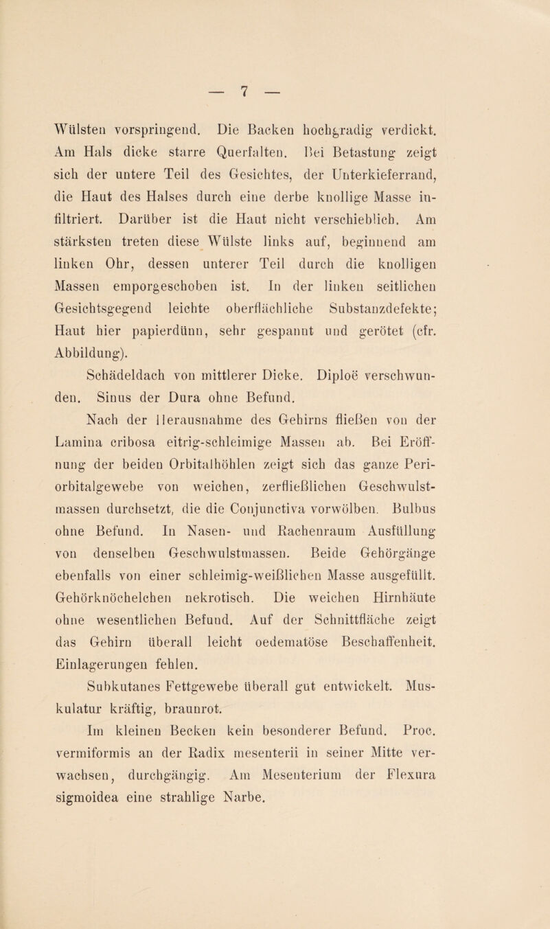 Wülsten vorspringend. Die Backen hochgradig verdickt. Am Hals dicke starre Querfalten. Bei Betastung zeigt sich der untere Teil des Gesichtes, der Unterkieferrand, die Haut des Halses durch eine derbe knollige Masse in¬ filtriert. Darüber ist die Haut nicht verschieblich. Am stärksten treten diese Wülste links auf, beginnend am linken Ohr, dessen unterer Teil durch die knolligen Massen emporgeschoben ist. In der linken seitlichen Gesichtsgegend leichte oberflächliche Substanzdefekte; Haut hier papierdünn, sehr gespannt und gerötet (cfr. Abbildung). Schädeldach von mittlerer Dicke. Diploe verschwun¬ den. Sinus der Dura ohne Befund. Nach der Herausnahme des Gehirns fließen von der Lamina cribosa eitrig-schleimige Massen ab. Bei Eröff¬ nung der beiden Orbitalhöhlen zeigt sich das ganze Peri¬ orbitalgewebe von weichen, zerfließlichen Geschwulst¬ massen durchsetzt, die die Conjunctiva vorwölben. Bulbus ohne Befund. In Nasen- und Bachenraum Ausfüllung von denselben Geschwulstmassen. Beide Gehörgänge ebenfalls von einer schleimig-weißlichen Masse ausgefülit. Gehörknöchelchen nekrotisch. Die weichen Hirnhäute ohne wesentlichen Befund. Auf der Schnittfläche zeigt das Gehirn überall leicht oedematöse Beschaffenheit. Einlagerungen fehlen. Subkutanes Fettgewebe überall gut entwickelt. Mus¬ kulatur kräftig, braunrot. Im kleinen Becken kein besonderer Befund. Proc. vermiformis an der Kadix mesenterii in seiner Mitte ver¬ wachsen, durchgängig. Am Mesenterium der Flexura sigmoidea eine strahlige Narbe.