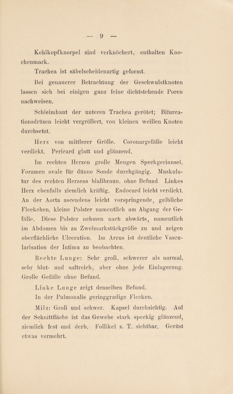 Kehlkopfknorpel sind verknöchert, enthalten Kno¬ chenmark. Trachea ist säbelscheidenartig geformt. Bei genauerer Betrachtung der Geschwulstknoten lassen sich bei einigen ganz feine dichtstellende Poren nachweisen. Schleimhaut der unteren Trachea gerötet; Bifurca- tionsdrüsen leicht vergrößert, von kleinen weißen Knoten durchsetzt. Herz von mittlerer Größe. Coronargefäße leicht verdickt. Pericard glatt und glänzend. Im rechten Herzen große Mengen Speckgerinnsel. Foramen ovale für dünne Sonde durchgängig. Muskula¬ tur des rechten Herzens blaßbraun, ohne Befund. Linkes Herz ebenfalls ziemlich kräftig. Endocard leicht verdickt. An der Aorta ascendens leicht vorspringende, gelbliche Fleckchen, kleine Polster namentlich am Abgang der Ge¬ fäße. Diese Polster nehmen nach abwärts, namentlich im Abdomen bis zu Zweimarkstückgröße zu und zeigen oberflächliche Ulceration. Im Arcus ist deutliche Vascu- larisation der Intima zu beobachten. Rechte Lunge: Sehr groß, schwerer als normal, sehr blut- und saftreich, aber ohne jede Einlagerung. Große Gefäße ohne Befund. Linke Lunge zeigt denselben Befund. In der Pulmonalis geringgradige Flecken. Milz: Groß und schwer. Kapsel durchsichtig. Auf der Schnittfläche ist das Gewebe stark speckig glänzend, ziemlich fest und derb. Follikel z. T. sichtbar. Gerüst etwas vermehrt.