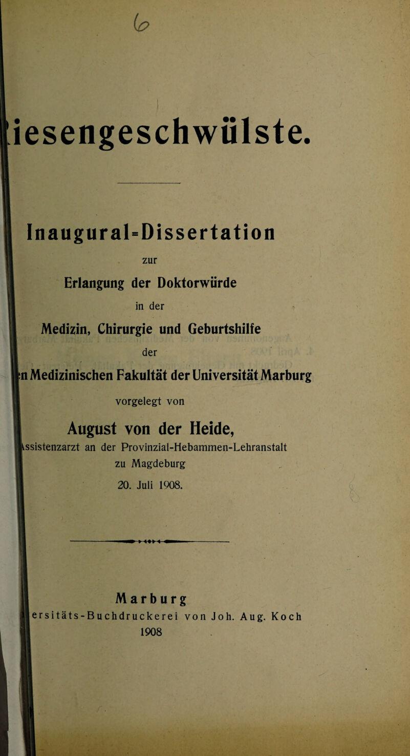 iesengeschwülste. Inauguraldissertation zur Erlangung der Doktorwürde in der Medizin, Chirurgie und Geburtshilfe der ^Medizinischen Fakultät der Universität Marburg vorgelegt von August von der Heide, Lssistenzarzt an der Provinzial-Hebammen-Lehranstalt zu Magdeburg 20. Juli 1908. Marburg ersitäts-Buchdruckerei von Joh. Aug. Koch 1908