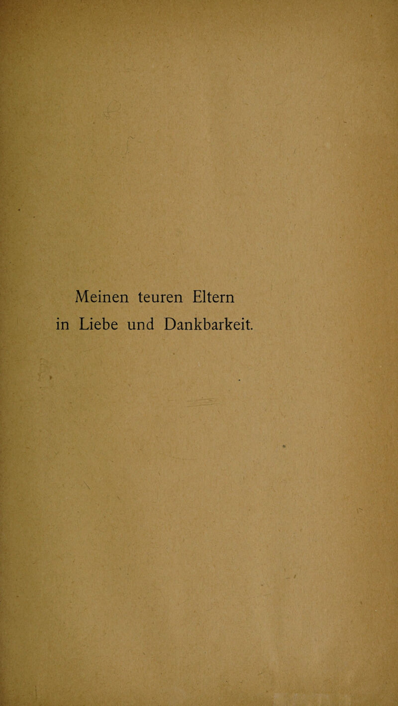 Meinen teuren Eltern in Liebe und Dankbarkeit.