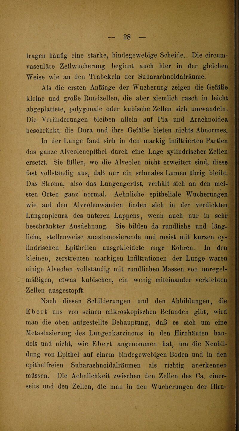 tragen häufig eine starke, bindegewebige Scheide. Die circum- vasculäre Zellwucherung beginnt auch hier in der gleichen Weise wie an den Trabekeln der Subarachnoidalräume. Als die ersten Anfänge der Wucherung zeigen die Gefäße kleine und große Rundzellen, die aber ziemlich rasch in leiclit abgeplattete, polygonale oder kubische Zellen sich um wandeln. Die Veränderungen bleiben allein auf Pia und Arachnoidea beschränkt, die Dora und ihre Gefäße bieten nichts Abnormes. In der Lunge fand sich in den markig infiltrierten Partien das ganze Alveolenepithel durch eine Lage zylindrischer Zellen ersetzt. Sie füllen, wo die Alveolen nicht erweitert sind, diese fast vollständig aus, daß nur ein schmales Lumen übrig bleibt. Das Stroma, also das Lungengerüst, verhält sich an den mei¬ sten Orten ganz' normal. Aehnliche epitheliale Wucherungen wie auf den Alveolenwänden finden sich in der verdickten Lungenpleura des unteren Lappens, wenn auch nur in sehr beschränkter Ausdehnung. Sie bilden da rundliche und läng¬ liche, stellenweise anastomosierende und meist mit kurzen cy- lindrischen Epithelien ausgekleidete enge Röhren. In den kleinen, zerstreuten markigen Infiltrationen der Lunge waren einige Alveolen vollständig mit rundlichen Massen von unregel¬ mäßigen, etwas kubischen, ein wenig miteinander verklebten Zellen ausgestopft. Nach diesen Schilderungen und den Abbildungen, die Ebert uns von seinen mikroskopischen Befunden gibt, wird man die oben aufgestellte Behauptung, daß es sich um eine Metastasierung des Lungenkarzinoms in den Hirnhäuten han~ delt und nicht, wie Ebert angenommen hat, um die Neubil¬ dung von Epithel auf einem bindegewebigen Boden und in den epithelfreien Subarachnoidalräumen als richtig anerkennen müssen. Die Aehnlichkeit zwischen den Zellen des Ca. einer¬ seits und den Zellen, die man in den Wucherungen der Hirn-