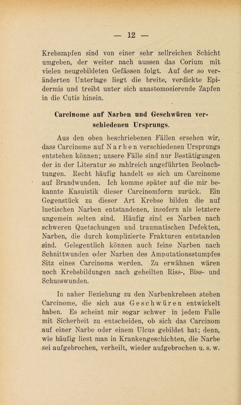 Krebszapfen sind von einer sehr zellreichen Schicht umgeben, der weiter nach aussen das Gorium mit vielen neugebildeten Gefässen folgt. Auf der so ver¬ änderten Unterlage liegt die breite, verdickte Epi¬ dermis und treibt unter sich anastomosierende Zapfen in die Cutis hinein. « Carcinome auf Narben und Geschwüren ver¬ schiedenen Ursprungs. Aus den oben beschriebenen Fällen ersehen wir, dass Carcinome auf Narben verschiedenen Ursprungs entstehen können; unsere Fälle sind nur Bestätigungen der in der Literatur so zahlreich angeführten Beobach¬ tungen. Recht häufig handelt es sich um Carcinome auf Brandwunden. Ich komme später auf die mir be¬ kannte Kasuistik dieser Carcinomform zurück. Ein Gegenstück zu dieser Art Krebse bilden die auf luetischen Narben entstandenen, insofern als letztere ungemein selten sind. Häufig sind es Narben nach schweren Quetschungen und traumatischen Defekten, Narben, die durch komplizierte Frakturen entstanden sind. Gelegentlich können auch feine Narben nach Schnittwunden oder Narben des Amputationsstumpfes Sitz eines Carcinoms werden. Zu erwähnen wären noch Krebsbildungen nach geheilten Riss-, Biss- und , Schusswunden. In naher Beziehung zu den Narbenkrebsen stehen Carcinome, die sich aus Geschwüren entwickelt haben. Es scheint mir sogar schwer in jedem Falle mit Sicherheit zu entscheiden, ob sich das Carcinom auf einer Narbe oder einem Ulcus gebildet hat; denn, wie häufig liest man in Krankengeschichten, die Narbe sei aufgebrochen, verheilt, wieder aufgebrochen u. s. w.