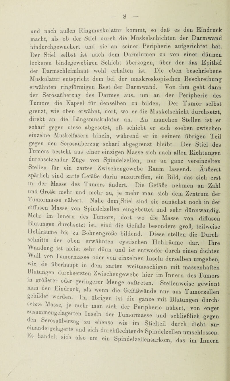 und nach außen Ringmuskulatur kommt, so daß es den Eindruck macht, als ob der Stiel durch die Muskelschichten der Darmwand hindurchgewuchert und sie an seiner Peripherie aufgerichtet hat. Der Stiel selbst ist nach dem Darmlumen zu von einer dünnen lockeren bindegewebigen Schicht überzogen, über der das Epithel der Darmschleimhaut wohl erhalten ist. Die eben beschriebene Muskulatur entspricht dem bei der maskroskopischen Beschreibung erwähnten ringförmigen Rest der Darmwand. Von ihm geht dann der Serosaüberzug des Darmes aus, um an der Peripherie des Tumors die Kapsel für denselben zu bilden. Der Tumor selbst grenzt, wie oben erwähnt, dort, wo er die Muskelschicht durchsetzt, direkt an die Längsmuskulatur an. An manchen Stellen ist er scharf gegen diese abgesetzt, oft schiebt er sich soeben zwischen einzelne Muskelfasern hinein, während er in seinem übrigen Teil gegen den Serosaüberzug scharf abgegrenzt bleibt. Der Stiel des lumors besteht aus einer einzigen Masse sich nach allen Richtungen durchsetzender Züge von Spindelzellen, nur an ganz vereinzelten Stellen für ein zartes Zwischengewebe Raum lassend. Äußerst spärlich sind zarte Gefäße darin anzutreffen, ein Bild, das sich erst in der Masse des Tumors ändert. Die Gefäße nehmen an Zahl und Größe mehr und mehr zu, je mehr man sich dem Zentrum der Tumoimasse nähert. Vahe dem Stiel sind sie zunächst noch in der diffusen Masse von Spindelzellen eingebettet und sehr dünnwandig. Mehr im Innern des lumors, dort wo die Masse von diffusen Blutungen durchsetzt ist, sind die Gefäße besonders groß, teilweise Hohlräume bis zu Bohnengröße bildend. Diese stellen die Durch¬ schnitte der oben erwähnten cystischen Hohlräume dar. Ihre Wandung ist meist sehr dünn und ist entweder durch einen dichten Wall von Tumormasse oder von einzelnen Inseln derselben umgeben, *(/ überhauPt m dem zarten weitmaschigen mit massenhaften Blutungen durchsetzten Zwischengewebe hier im Innern des Tumors größerer oder geringerer Menge auftreten. Stellenweise gewinnt man den Eindruck, als wenn die Gefäßwände nur aus Tumorzellen n C weiden. Im übrigen ist die ganze mit Blutungen durch¬ setzte Masse, je mehr man sich der Peripherie nähert, von enger zusammengelagerten Inseln der Tumormasse und schließlich gegen n ,er0Saöberzug zu ebenso wie im Stielteil durch dicht an- J eip^agei te und sich durchflechtende Spindelzellen umschlossen, -auütii sich also um ein Spindelzellensarkom, das im Innern