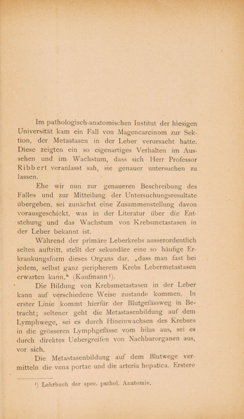 Im pathologisch-anatomischen Institut der hiesigen Universität kam ein Fall von Magencarcinom zur Sek¬ tion, der Metastasen in der Leber verursacht hatte. Diese zeigten ein so eigenartiges Verhalten im Aus¬ sehen und im Wachstum, dass sich Herr Professor Ribbert veranlasst sah, sie genauer untersuchen zu lassen. Ehe wir nun zur genaueren Beschreibung des Falles und zur Mitteilung der Untersuchungsresultate übergehen, sei zunächst eine Zusammenstellung davon vorausgeschickt, was in der Literatur über die Ent¬ stehung und das Wachstum von Krebsmetastasen in der Leber bekannt ist. Während der primäre Leberkrebs ausserordentlich selten auftritt, stellt der sekundäre eine so häufige Er¬ krankungsform dieses Organs dar, „dass man fast bei jedem, selbst ganz peripherem Krebs Lebermetastasen erwarten kann.“ (Kaufmann1). Die Bildung von Krebsmetastasen in der Leber kann auf verschiedene Weise zustande kommen. In erster Linie kommt hierfür der Blutgetässweg in Be¬ tracht; seltener geht die Metastasenbildung aul dem Lymphwege, sei es durch Hineinwachsen des Krebses in die grösseren Lymphgefasse vom hilus aus, sei es durch direktes Uebergreifen von Nachbarorganen aus, vor sich. Die Metastasenbildung auf dem Blutwege ver¬ mitteln die vena portae und die arteria hepatica. Erstere