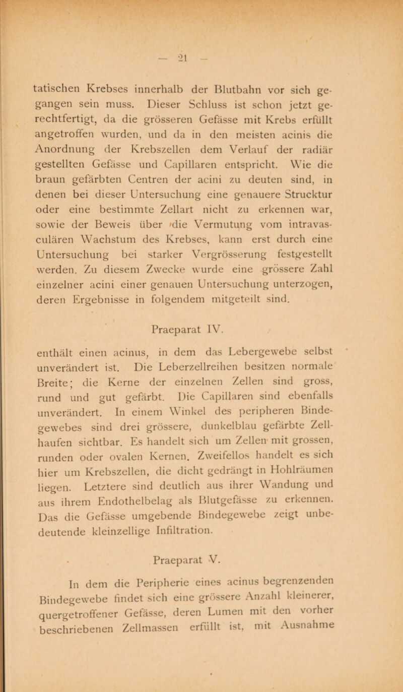 tatisclien Krebses innerhalb der Blutbahn vor sich ge¬ gangen sein muss. Dieser Schluss ist schon jetzt ge¬ rechtfertigt, da die grösseren Gefässe mit Krebs erfüllt angetroffen wurden, und da in den meisten acinis die Anordnung der Krebszellen dem Verlauf der radiär gestellten Gefässe und Capillaren entspricht. Wie die braun gefärbten Centren der acini zu deuten sind, in denen bei dieser Untersuchung eine genauere Strucktur oder eine bestimmte Zellart nicht zu erkennen war, sowie der Beweis über 'die Vermutung vom intravas- culären Wachstum des Krebses, kann erst durch eine Untersuchung bei starker Vergrösserung festgestellt werden. Zu diesem Zwecke wurde eine grössere Zahl einzelner acini einer genauen Untersuchung unterzogen, deren Ergebnisse in folgendem mitgeteilt sind. Praeparat IV. enthält einen acinus, in dem das Lebergewebe selbst unverändert ist. Die Leberzellreihen besitzen normale Breite; die Kerne der einzelnen Zellen sind gross, rund und gut gefärbt. Die Capillaren sind ebenfalls unverändert. In einem Winkel des peripheren Binde¬ gewebes sind drei grössere, dunkelblau getärbte Zell¬ haufen sichtbar. Es handelt sich um Zellen-mit grossen, runden oder ovalen Kernen. Zweifellos handelt es sich hier um Krebszellen, die dicht gedrängt in Hohlräumen liegen. Letztere sind deutlich aus ihrer Wandung und aus ihrem Endothelbelag als l>lutgefässe zu erkennen. Das die Gefässe umgebende Bindegewebe zeigt unbe¬ deutende kleinzellige Infiltration. Praeparat V. In dem die Peripherie eines acinus begrenzenden Bindegewebe findet sich eine grössere Anzahl kleinerer, quergetroffener Gefässe, deren Lumen mit den vorher beschriebenen Zellmassen erfüllt ist, mit Ausnahme