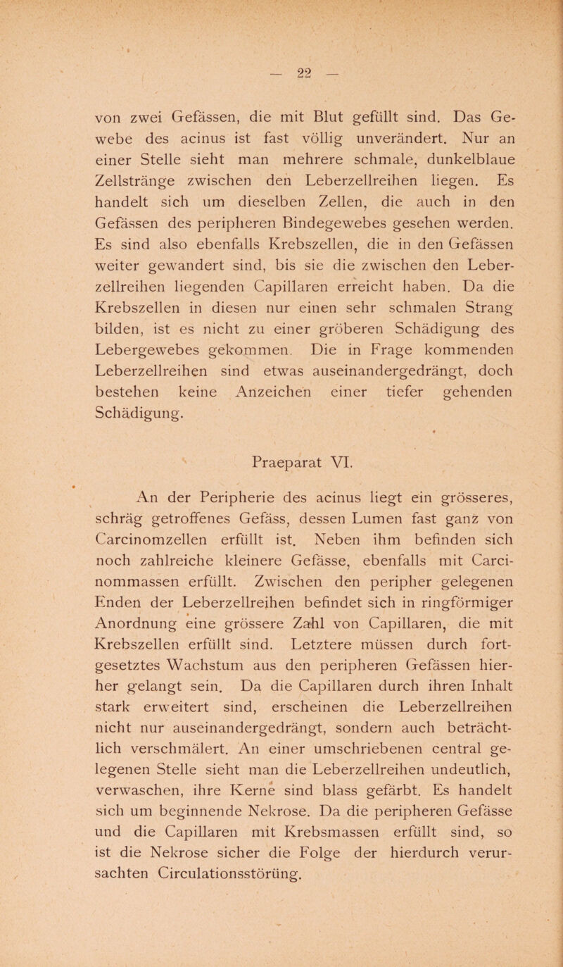 b von zwei Gefässen, die mit Blut gefüllt sind. Das Ge¬ webe des acinus ist fast völlig unverändert. Nur an einer Stelle sieht man mehrere schmale, dunkelblaue Zellstränge zwischen den Leberzellreihen liegen. Es handelt sich um dieselben Zellen, die auch in den Gefässen des peripheren Bindegewebes gesehen werden. Es sind also ebenfalls Krebszellen, die in den Gefässen weiter gewandert sind, bis sie die zwischen den Leber¬ zellreihen liegenden Capillaren erreicht haben. Da die Krebszellen in diesen nur einen sehr schmalen Strang bilden, ist es nicht zu einer gröberen Schädigung des Lebergewebes gekommen. Die in Frage kommenden Leberzellreihen sind etwas auseinandergedrängt, doch bestehen keine Anzeichen einer tiefer gehenden Schädigung. Praeparat VI. An der Peripherie des acinus liegt ein grösseres, schräg getroffenes Gefäss, dessen Lumen fast ganz von Carcinomzellen erfüllt ist. Neben ihm befinden sich noch zahlreiche kleinere Gefässe, ebenfalls mit Carci- nommassen erfüllt. Zwischen den peripher gelegenen Enden der Leberzellreihen befindet sich in ringförmiger Anordnung eine grössere Zahl von Capillaren, die mit Krebszellen erfüllt sind. Letztere müssen durch fort¬ gesetztes Wachstum aus den peripheren Gefässen hier¬ her gelangt sein. Da die Capillaren durch ihren Inhalt stark erweitert sind, erscheinen die Leberzellreihen nicht nur auseinandergedrängt, sondern auch beträcht¬ lich verschmälert. An einer umschriebenen central ge¬ legenen Stelle sieht man die Leberzellreihen undeutlich, verwaschen, ihre Kerne sind blass gefärbt. Es handelt sich um beginnende Nekrose. Da die peripheren Gefässe und die Capillaren mit Krebsmassen erfüllt sind, so ist die Nekrose sicher die Folge der hierdurch verur¬ sachten Circulationsstörüng.