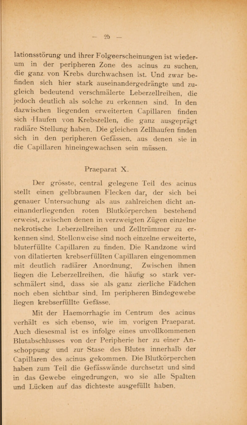 2b lationsstörung und ihrer Folgeerscheinungen ist wieder¬ um in der peripheren Zone des acinus zu suchen, die ganz von Krebs durchwachsen ist. Und zwar be¬ finden sich hier stark auseinandergedrängte und zu¬ gleich bedeutend verschmälerte Leberzellreihen, die jedoch deutlich als solche zu erkennen sind. In den dazwischen liegenden erweiterten Capillaren finden sich -Haufen von Krebszellen, die ganz ausgeprägt radiäre Stellung haben. Die gleichen Zellhaufen finden sich in den peripheren Gelassen, aus denen sie in die Capillaren hineingewachsen sein müssen. Praepiirat X. Der grösste, central gelegene Teil des acinus stellt einen gelbbraunen Flecken dar, der sich bei genauer Untersuchung als aus zahlreichen dicht an¬ einanderliegenden roten Blutkörperchen bestehend erweist, zwischen denen in verzweigten Zügen einzelne nekrotische Leberzellreihen und Zelltrümmer zu er¬ kennen sind. Stellenweise sind noch einzelne erweiterte, bluterfüllte Capillaren zu finden. Die Randzone wird von dilatierten krebserfüllten Capillaren eingenommen mit deutlich radiärer Anordnung. Zwischen ihnen liegen die Leberzellreihen, die häufig so stark ver¬ schmälert sind, dass sie als ganz zierliche Fädchen noch eben sichtbar sind. Im peripheren Bindegewebe liegen krebserfüllte Gefässe. Mit der Haemorrhagie im Centrum des acinus verhält es sich ebenso, wie im vorigen Praeparat. Auch diesesmal ist es infolge eines unvollkommenen Blutabschlusses von der Peripherie her zu einer An¬ schoppung und zur Stase des Blutes innerhalb der Capillaren des acinus gekommen. Die Blutkörperchen haben zum Teil die Gefässwände durchsetzt und sind in das Gewebe eingedrungen, wo sie alle Spalten und Lücken auf das dichteste ausgefüllt haben.