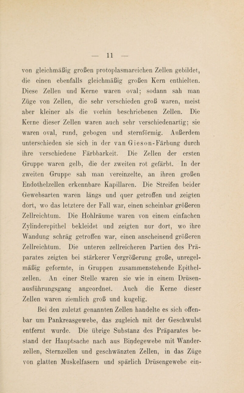 von gleichmäßig großen protoplasmareichen Zellen gebildet, die einen ebenfalls gleichmäßig großen Kern enthielten. Diese Zellen und Kerne waren oval; sodann sah man Züge von Zellen, die sehr verschieden groß waren, meist aber kleiner als die vorhin beschriebenen Zellen. Die Kerne dieser Zellen waren auch sehr verschiedenartig; sie waren oval, rund, gebogen und sternförmig. Außerdem unterschieden sie sich in der van Gieson-Färbung durch ihre verschiedene Färbbarkeit. Die Zellen der ersten Gruppe waren gelb, die der zweiten rot gefärbt. In der zweiten Gruppe sah man vereinzelte, an ihren großen Endothelzellen erkennbare Kapillaren. Die Streifen beider Gewebsarten waren längs und quer getroffen und zeigten dort, wo das letztere der Fall war, einen scheinbar größeren Zellreichtum. Die Hohlräume waren von einem einfachen Zylinderepithel bekleidet und zeigten nur dort, wo ihre Wandung schräg getroffen war, einen anscheinend größeren Zellreichtum. Die unteren zellreicheren Partien des Prä¬ parates zeigten bei stärkerer Vergrößerung große, unregel¬ mäßig geformte, in Gruppen zusammenstehende Epithel¬ zellen. An einer Stelle waren sie wie in einem Drüsen¬ ausführungsgang angeordnet. Auch die Kerne dieser Zellen waren ziemlich groß und kugelig. Bei den zuletzt genannten Zellen handelte es sich offen¬ bar um Pankreasgewebe, das zugleich mit der Geschwulst entfernt wurde. Die übrige Substanz des Präparates be¬ stand der Hauptsache nach aus Bindegewebe mit Wander¬ zellen, Sternzellen und geschwänzten Zellen, in das Züge von glatten Muskelfasern und spärlich Drüsengewebe ein-