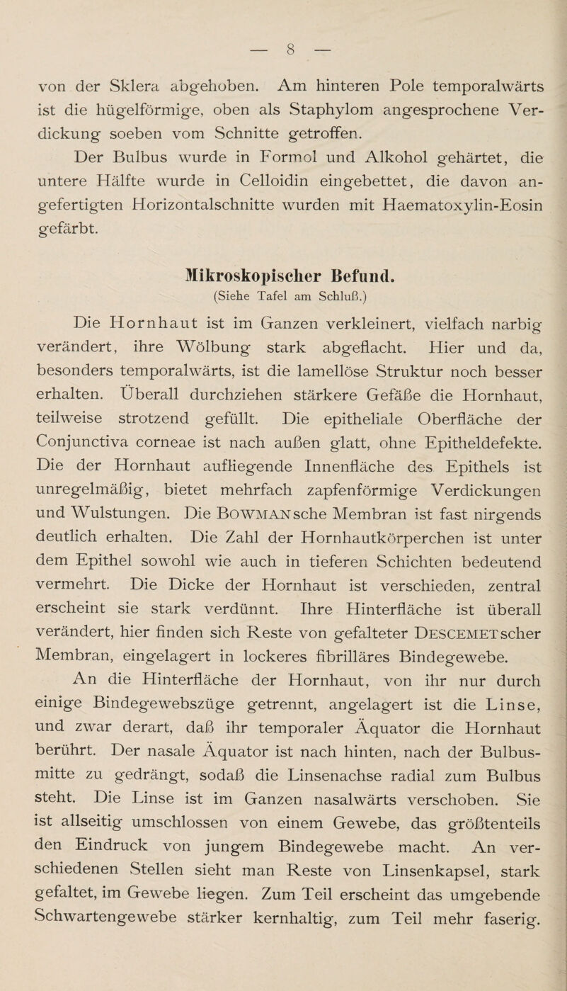 von der Sklera abgehoben. Am hinteren Pole temporalwärts ist die hügelförmige, oben als Staphylom angesprochene Ver¬ dickung soeben vom Schnitte getroffen. Der Bulbus wurde in Formol und Alkohol gehärtet, die untere Hälfte wurde in Celloidin eingebettet, die davon an¬ gefertigten Horizontalschnitte wurden mit Haematoxylin-Eosin gefärbt. Mikroskopischer Befund. (Siehe Tafel am Schluß.) Die Hornhaut ist im Ganzen verkleinert, vielfach narbig verändert, ihre Wölbung stark abgeflacht. Hier und da, besonders temporalwärts, ist die lamellöse Struktur noch besser erhalten. Überall durchziehen stärkere Gefäße die Hornhaut, teilweise strotzend gefüllt. Die epitheliale Oberfläche der Conjunctiva corneae ist nach außen glatt, ohne Epitheldefekte. Die der Hornhaut aufliegende Innenfläche des Epithels ist unregelmäßig, bietet mehrfach zapfenförmige Verdickungen und Wulstungen. Die BowMANsche Membran ist fast nirgends deutlich erhalten. Die Zahl der Hornhautkörperchen ist unter dem Epithel sowohl wie auch in tieferen Schichten bedeutend vermehrt. Die Dicke der Hornhaut ist verschieden, zentral erscheint sie stark verdünnt. Ihre Hinterfläche ist überall verändert, hier finden sich Reste von gefalteter Descemet scher Membran, eingelagert in lockeres fibrilläres Bindegewebe. An die Hinterfläche der Hornhaut, von ihr nur durch einige Bindegewebszüge getrennt, angelagert ist die Linse, und zwar derart, daß ihr temporaler Äquator die Hornhaut berührt. Der nasale Äquator ist nach hinten, nach der Bulbus¬ mitte zu gedrängt, sodaß die Linsenachse radial zum Bulbus steht. Die Linse ist im Ganzen nasalwärts verschoben. Sie ist allseitig umschlossen von einem Gewebe, das größtenteils den Eindruck von jungem Bindegewebe macht. An ver¬ schiedenen Stellen sieht man Reste von Linsenkapsel, stark gefaltet, im Gewebe liegen. Zum Teil erscheint das umgebende Schwartengewebe stärker kernhaltig, zum Teil mehr faserig.