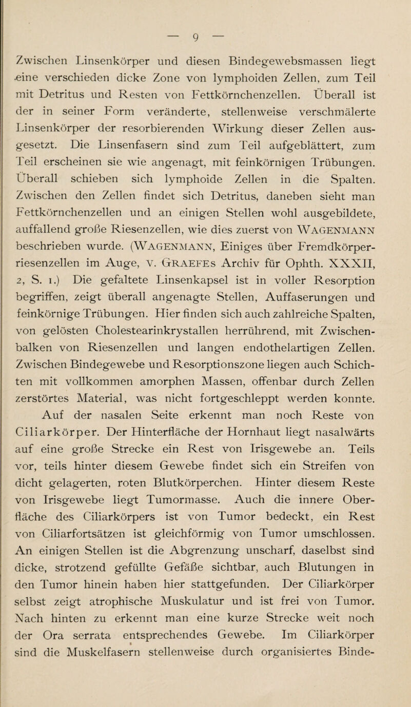 Zwischen Linsenkörper und diesen Bindegewebsmassen liegt •eine verschieden dicke Zone von lymphoiden Zellen, zum Teil mit Detritus und Resten von Fettkörnchenzellen. Überall ist der in seiner Form veränderte, stellenweise verschmälerte Linsenkörper der resorbierenden Wirkung dieser Zellen aus¬ gesetzt. Die Linsenfasern sind zum Teil aufgeblättert, zum Teil erscheinen sie wie angenagt, mit feinkörnigen Trübungen. Überall schieben sich lymphoide Zellen in die Spalten. Zwischen den Zellen findet sich Detritus, daneben sieht man Fettkörnchenzellen und an einigen Stellen wohl ausgebildete, auffallend große Riesenzellen, wie dies zuerst von Wagenmann beschrieben wurde. (Wagenmann, Einiges über Fremdkörper¬ riesenzellen im Auge, v. Graefes Archiv für Ophth. XXXII, 2, S. i.) Die gefaltete Linsenkapsel ist in voller Resorption begriffen, zeigt überall angenagte Stellen, Auffaserungen und feinkörnige Trübungen. Hier finden sich auch zahlreiche Spalten, von gelösten Cholestearinkrystallen herrührend, mit Zwischen¬ balken von Riesenzellen und langen endothelartigen Zellen. Zwischen Bindegewebe und Resorptionszone liegen auch Schich¬ ten mit vollkommen amorphen Massen, offenbar durch Zellen zerstörtes Material, was nicht fortgeschleppt werden konnte. Auf der nasalen Seite erkennt man noch Reste von Ciliarkörper. Der Hinterfläche der Hornhaut liegt nasalwärts auf eine große Strecke ein Rest von Irisgewebe an. Teils vor, teils hinter diesem Gewebe findet sich ein Streifen von dicht gelagerten, roten Blutkörperchen. Hinter diesem Reste von Irisgewebe liegt Tumormasse. Auch die innere Ober¬ fläche des Ciliarkörpers ist von Tumor bedeckt, ein Rest von Ciliarfortsätzen ist gleichförmig von Tumor umschlossen. An einigen Stellen ist die Abgrenzung unscharf, daselbst sind dicke, strotzend gefüllte Gefäße sichtbar, auch Blutungen in den Tumor hinein haben hier stattgefunden. Der Ciliarkörper selbst zeigt atrophische Muskulatur und ist frei von Tumor. Nach hinten zu erkennt man eine kurze Strecke weit noch der Ora serrata entsprechendes Gewebe. Im Ciliarkörper sind die Muskelfasern stellenweise durch organisiertes Binde-