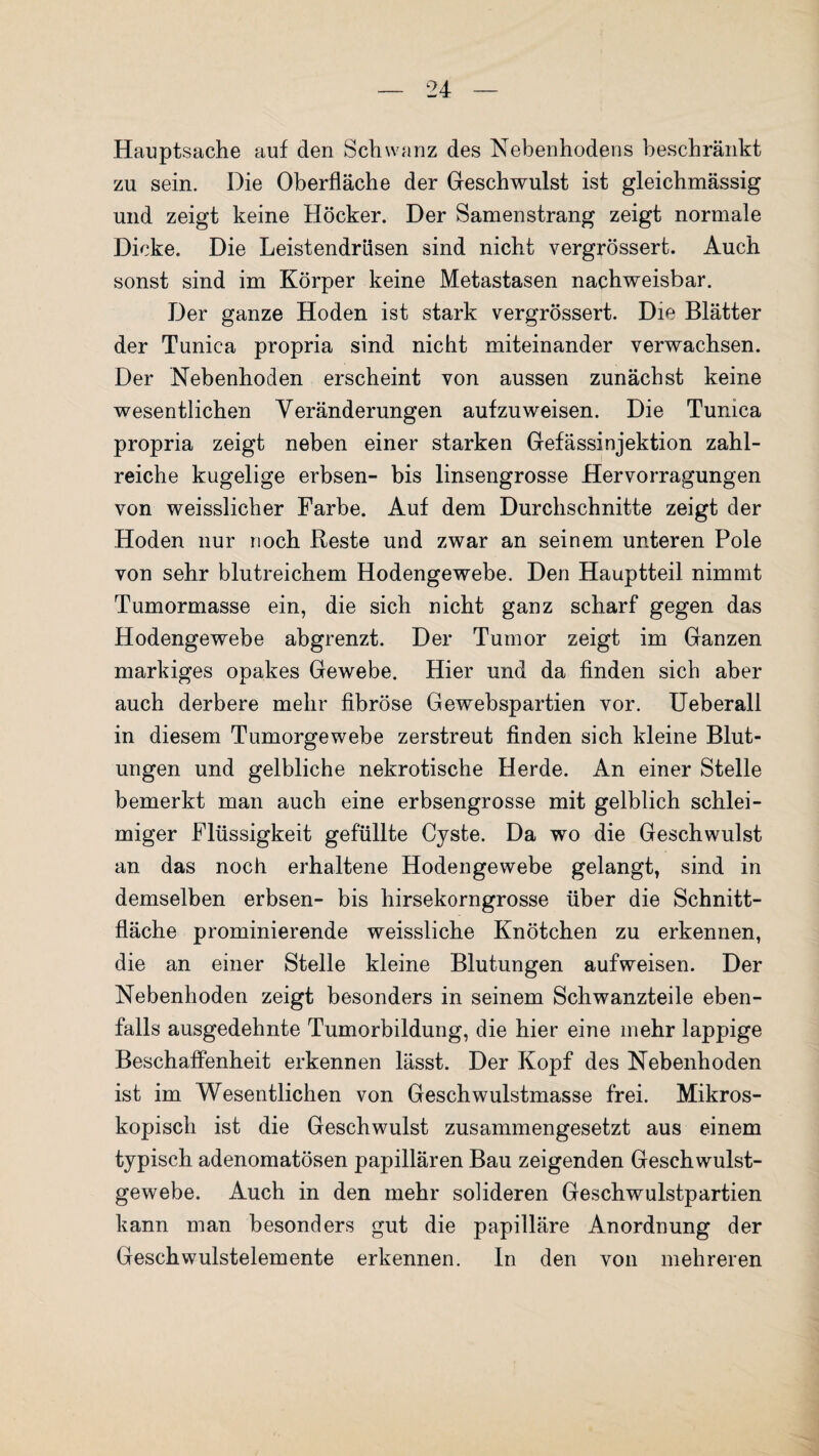 Hauptsache auf den Schwanz des Nebenhodens beschränkt zu sein. Die Oberfläche der Geschwulst ist gleichmässig und zeigt keine Höcker. Der Samenstrang zeigt normale Dicke. Die Leistendrüsen sind nicht vergrössert. Auch sonst sind im Körper keine Metastasen nachweisbar. Der ganze Hoden ist stark vergrössert. Die Blätter der Tunica propria sind nicht miteinander verwachsen. Der Nebenhoden erscheint von aussen zunächst keine wesentlichen Veränderungen aufzuweisen. Die Tunica propria zeigt neben einer starken Gefässinjektion zahl¬ reiche kugelige erbsen- bis linsengrosse Hervorragungen von weisslicher Farbe. Auf dem Durchschnitte zeigt der Hoden nur noch Reste und zwar an seinem unteren Pole von sehr blutreichem Hodengewebe. Den Hauptteil nimmt Tumormasse ein, die sich nicht ganz scharf gegen das Hodengewebe abgrenzt. Der Tumor zeigt im Ganzen markiges opakes Gewebe. Hier und da finden sich aber auch derbere mehr fibröse Gewebspartien vor. Ueberall in diesem Tumorgewebe zerstreut finden sich kleine Blut¬ ungen und gelbliche nekrotische Herde. An einer Stelle bemerkt man auch eine erbsengrosse mit gelblich schlei¬ miger Flüssigkeit gefüllte Cyste. Da wo die Geschwulst an das noch erhaltene Hodengewebe gelangt, sind in demselben erbsen- bis hirsekorngrosse über die Schnitt¬ fläche prominierende weissliche Knötchen zu erkennen, die an einer Stelle kleine Blutungen aufweisen. Der Nebenhoden zeigt besonders in seinem Schwanzteile eben¬ falls ausgedehnte Tumorbildung, die hier eine mehr lappige Beschaffenheit erkennen lässt. Der Kopf des Nebenhoden ist im Wesentlichen von Geschwulstmasse frei. Mikros¬ kopisch ist die Geschwulst zusammengesetzt aus einem typisch adenomatösen papillären Bau zeigenden Geschwulst¬ gewebe. Auch in den mehr solideren Geschwulstpartien kann man besonders gut die papilläre Anordnung der Geschwulstelemente erkennen. In den von mehreren