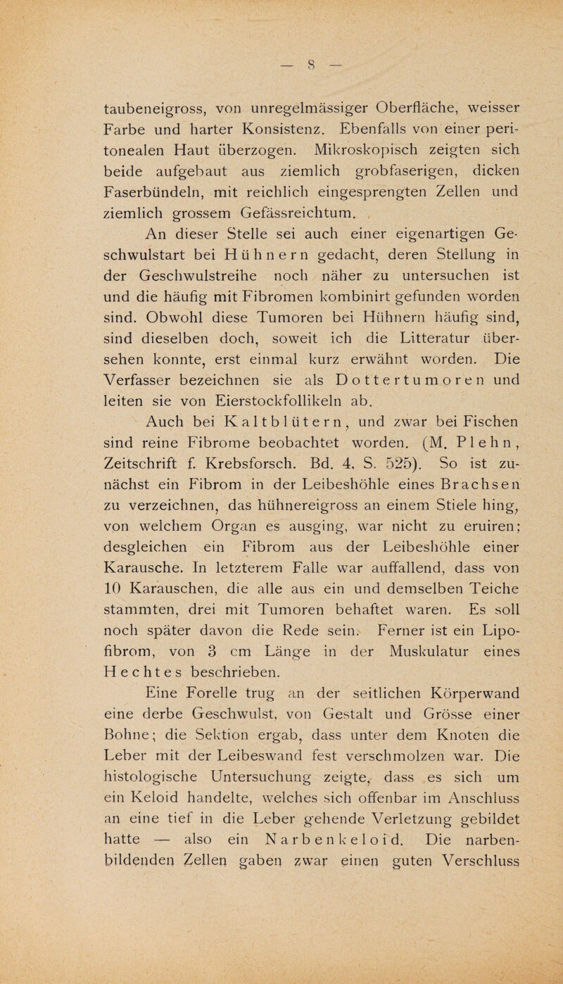 taubeneigross, von unregelmässiger Oberfläche, weisser Farbe und harter Konsistenz. Ebenfalls von einer peri¬ tonealen Haut überzogen. Mikroskopisch zeigten sich beide aufgebaut aus ziemlich grobfaserigen, dicken Faserbündeln, mit reichlich eingesprengten Zellen und ziemlich grossem Gefässreichtum. An dieser Stelle sei auch einer eigenartigen Ge¬ schwulstart bei Hühnern gedacht, deren Stellung in der Geschwulstreihe noch näher zu untersuchen ist und die häufig mit Fibromen kombinirt gefunden worden sind. Obwohl diese Tumoren bei Hühnern häufig sind, sind dieselben doch, soweit ich die Litteratur über¬ sehen konnte, erst einmal kurz erwähnt worden. Die Verfasser bezeichnen sie als Dottertumoren und leiten sie von Eierstockfollikeln ab. Auch bei Kaltblütern, und zwar bei Fischen sind reine Fibrome beobachtet worden. (M. Plehn, Zeitschrift f. Krebsforsch. Bd. 4, S. 525). So ist zu¬ nächst ein Fibrom in der Leibeshöhle eines Brachsen zu verzeichnen, das hühnereigross an einem Stiele hing, von welchem Organ es ausging, war nicht zu eruiren; desgleichen ein Fibrom aus der Leibeshöhle einer Karausche. In letzterem Falle war auffallend, dass von 10 Karauschen, die alle aus ein und demselben Teiche stammten, drei mit Tumoren behaftet waren. Es soll noch später davon die Rede sein. Ferner ist ein Lipo- fibrom, von 3 cm Länge in der Muskulatur eines Hechtes beschrieben. Eine Forelle trug an der seitlichen Körperwand eine derbe Geschwulst, von Gestalt und Grösse einer Bohne; die Sektion ergab, dass unter dem Knoten die Leber mit der Leibeswand fest verschmolzen war. Die histologische Untersuchung zeigte, dass es sich um ein Keloid handelte, welches sich offenbar im Anschluss an eine tief in die Leber gehende Verletzung gebildet hatte — also ein Narben kelo i d. Die narben- bildepder) Zellen gaben zwar einen guten Verschluss