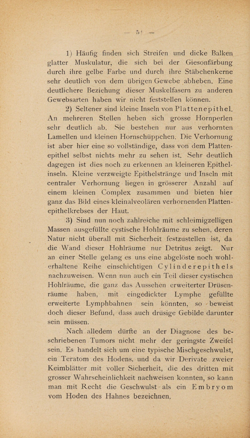 glatter Muskulatur, die sich bei der Giesonfärbung durch ihre gelbe Farbe und durch ihre Stäbchenkerne sehr deutlich von dem übrigen Gewebe abheben. Eine deutlichere Beziehung dieser Muskelfasern zu anderen Gewebsarten haben wir nicht feststellen können. 2) Seltener sind kleine Inseln von Plattenepithel. An mehreren Stellen heben sich grosse Hornperlen sehr deutlich ab. Sie bestehen nur aus verhornten. Lamellen und kleinen Hornschüppchen. Die Verhornung ist aber hier eine so vollständige, dass von dem Platten¬ epithel selbst nichts mehr zu sehen ist. Sehr deutlich dagegen ist dies noch zu erkennen an kleineren Epithel¬ inseln. Kleine verzweigte Epithelstränge und Inseln mit centraler Verhornung liegen in grösserer Anzahl auf einem kleinen Complex zusammen und bieten hier ganz das Bild eines kleinalveolären verhornenden Platten¬ epithelkrebses der Haut. 3) Sind nun noch zahlreiche mit schleimigzeiligen Massen ausgefüllte cystische Hohlräume zu sehen, deren Natur nicht überall mit Sicherheit festzustellen ist, da die Wand dieser Hohlräume nur Detritus zeigt. Nur an einer Stelle gelang es uns eine abgelöste noch wohl¬ erhaltene Reihe einschichtigen Cylinderepithels nachzuweisen. Wenn nun auch ein Teil dieser cystischen Hohlräume, die ganz das Aussehen erweiterter Drüsen¬ räume haben, mit eingedickter Lymphe gefüllte erweiterte Lymphbahnen sein könnten, so beweist doch dieser Befund, dass auch drüsige Gebilde darunter sein müssen. Nach alledem dürfte an der Diagnose des be¬ schriebenen Tumors nicht mehr der geringste Zweifel sein. Es handelt sich um eine typische Mischgeschwulst, ein Teratom des Hodens, und da wir Derivate zweier Keimblätter. mit voller Sicherheit, die des dritten mit grosser Wahrscheinlichkeit nachweisen konnten, so kann man mit Recht die Geschwulst als ein Embryom vom Hoden des Hahnes bezeichnen,