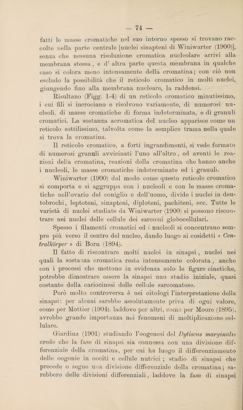 fatti le masse cromaticlie nei suo interno spesso si trovano rac¬ colte nella parte centrale [nuclei sinapteni di Winiwarter (1900)], senza che nessuna risoluzione cromatica nucleolare arrivi alla membrana stessa , e d’ altra parte questa membrana in qualche caso si colora meno intensamente della cromatina; con ciò non escludo la possibilità che il reticolo cromatico in molti nuclei, giungendo tino alla membrana nucleare, la raddensi. Risultano (Figg- 1-4) di un reticolo cromatico minutissimo, i cui tili si incrociano e risolvono variamente, di numerosi nu¬ cleoli. di masse cromatiche di forma indeterminata, e di granuli cromatici. La sostanza acromatica del nucleo apparisce come un reticolo sottilissimo, talvolta come la semplice trama nella quale si trova la cromatina. Il reticolo cromatico, a forti ingrandimenti, si vede formato di numerosi granuli avvicinati l’uno all’altro , ed aventi le rea¬ zioni della cromatina, reazioni della cromatina che hanno anche i nucleoli, le masse cromatiche indeterminate ed i granuli. Winiwarter (1900) dal modo come questo reticolo cromatico si comporta e si aggruppa con i nucleoli e con le masse croma¬ tiche nell’ovario del coniglio e dell’uomo, divide i nuclei in deu- tobrochi, leptoteni, sinapteni, diploteni, pachiteni, ecc. Tutte le varietà di nuclei studiate da Winiwarter (1900) si possono riscon¬ trare nei nuclei delle cellule dei sarcomi globocellulari. Spesso i filamenti cromatici ed i nucleoli si concentrano sem¬ pre più verso il centro del nucleo, dando luogo ai cosidetti « Cen- tralMrper » di Born (1894). Il fatto di riscontrare molti nuclei in sinapsi , nuclei nei quali la sostanza cromatica resta intensamente colorata , anche con i processi che mettono in evidenza solo le figure cinetiche, potrebbe dimostrare essere la sinapsi uno stadio iniziale, quasi costante della cariocinesi delle cellule sarcomatose. Però molto controversa è nei citologi l’interpretazione della sinapsi : per alcuni sarebbe assolutamente priva di ogni valore, come per Mottier (1904), laddove per altri, come per Moore (1895), avrebbe grande importanza nm fenomeni di moltiplicazione cel¬ lulare. Griardina (1901) studiando l’oogenesi del Dytiscus marginctUs crede che la fase di sinapsi sia connessa con una divisione dif¬ ferenziale della cromatina, per cui ha luogo il differenziamento delle oogonie in oociti e cellule nutilci ; stadio di sinapsi che precede o segue una divisione differenziale della cromatina; sa¬ rebbero delle divisioni differenziali, laddove la fase di sinapsi