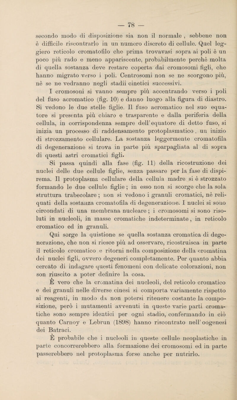 secondo modo di disposizione sia non il normale , sebbene non è difficile riscontrarlo in un numero discreto di cellule. Quel leg¬ giero reticolo cromatofìlo che prima trovavasi sopra ai poli è un poco più rado e meno appariscente, probabilmente perchè molta di quella sostanza deve restare coperta dai cromosomi figli, ohe hanno migrato verso i poli. Centrosomi non se ne scorgono più, nè se ne vedranno negli stadii cinetici successivi. I cromosoni si vanno sempre più accentrando verso i poli del fuso acromatico (fig. 10) e danno luogo alla figura di diastro. Si vedono le due stelle figlie. Il fuso acromatico nel suo equa¬ tore si prescmta più chiaro e trasparente e dalla periferia della cellula, in corrispondenza sempre dell’equatore di detto fuso, si inizia un processo di raddensamento protoplasmatico , un inizio di strozzamento cellulare. La sostanza leggermente cromatofila di degenerazione si trova in parte più sparpagliata al di sopra di questi astri cromatici figli. Si passa quindi alla fase (fig. 11) della ricostruzione dei nuclei delle due cellule figlie, senza passare per la fase di dispi¬ rema. Il protoplasma cellulare della cellula madre si è strozzato formando le due cellule figlie ; in esso non si scorge che la sola struttura trabecolare ; non si vedono i granuli cromatici, nè reli- quati della sostanza cromatofila di degenerazione. I nuclei si sono circondati di una membrana nucleare ; i cromosomi si sono riso¬ luti in nucleoli, in masse cromatiche indeterminate , in reticolo cromatico ed in granuli. Qui sorge la quistione se quella sostanza cromatica di dege¬ nerazione, che non si riesce più ad osservare, ricostruisca in parte il reticolo cromatico e ritorni nella composizione della cromatina dei nuclei figli, ovvero degeneri completamente. Per quanto abbia cercato di indagare questi fenomeni con delicate colorazioni, non son riuscito a poter definire la cosa. E vero che la cromatina dei nucleoli, del reticolo cromatico e dei granuli nelle diverse cinesi si comporta variamente rispetto ai reagenti, in modo da non potersi ritenere costante la compo¬ sizione, però i mutamenti avvenuti in queste varie parti croma¬ tiche sono sempre identici per ogni stadio, confermando in ciò quanto Carnoy e Lebrun (1898) hanno riscontrato nell’ oogenesi dei Latraci. E probabile che i nucleoli in queste cellule neoplastiche in parte concorrerebbero alla formazione dei cromosomi ed in parte passerebbero nel protoplasma forse anche per nutrirlo.